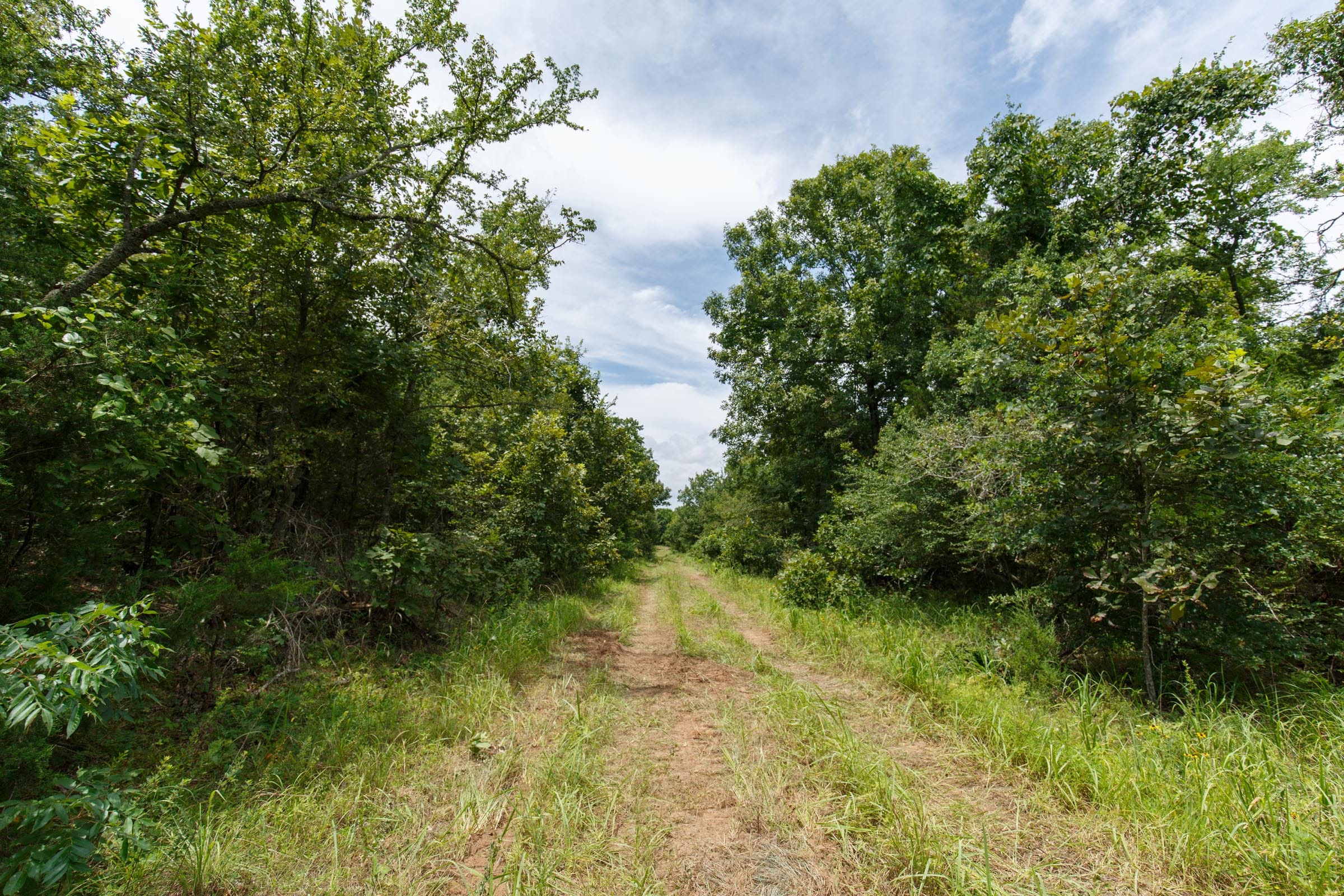 Timber Ridge Tract 35 photo 1