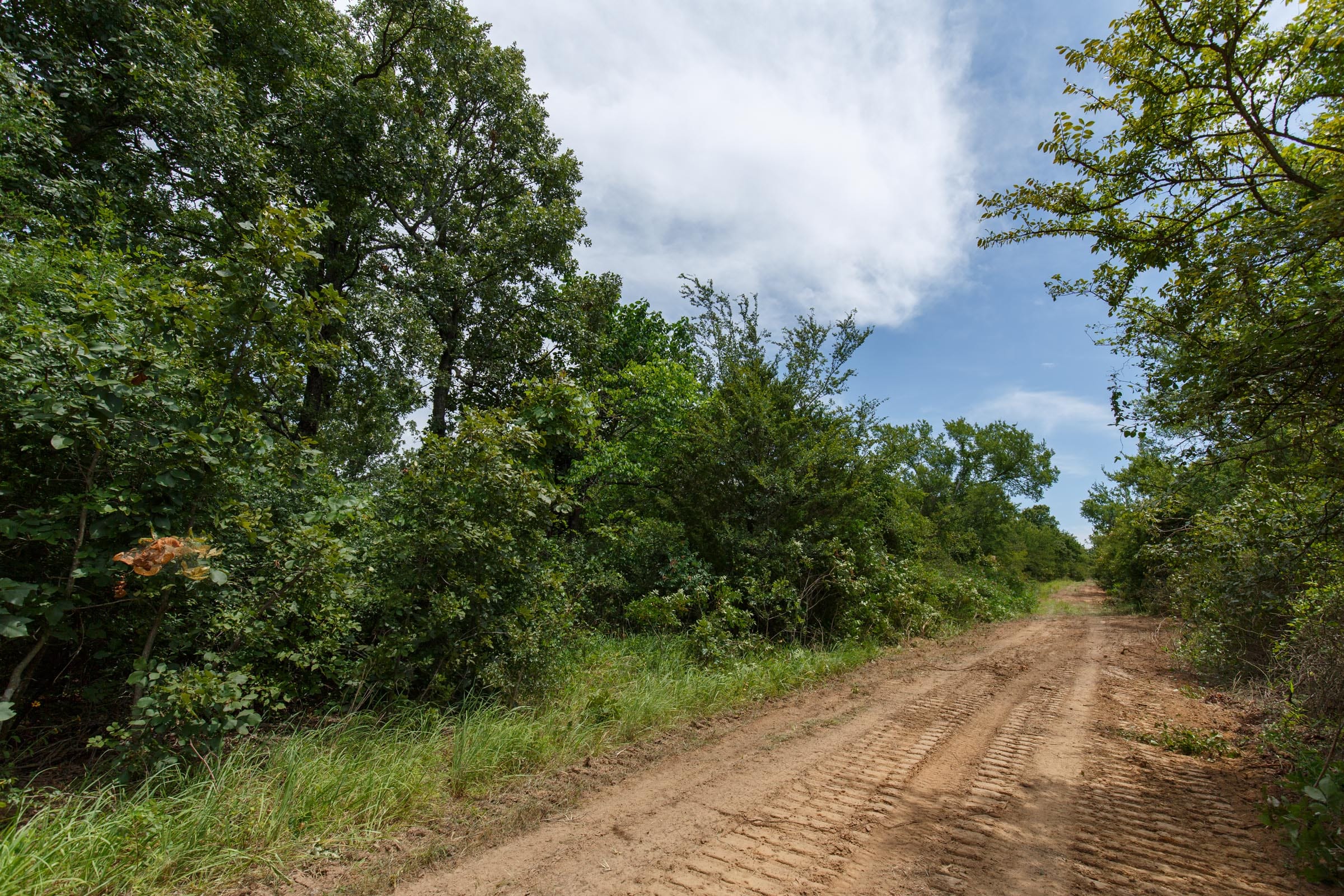 Timber Ridge Tract 35 photo 3