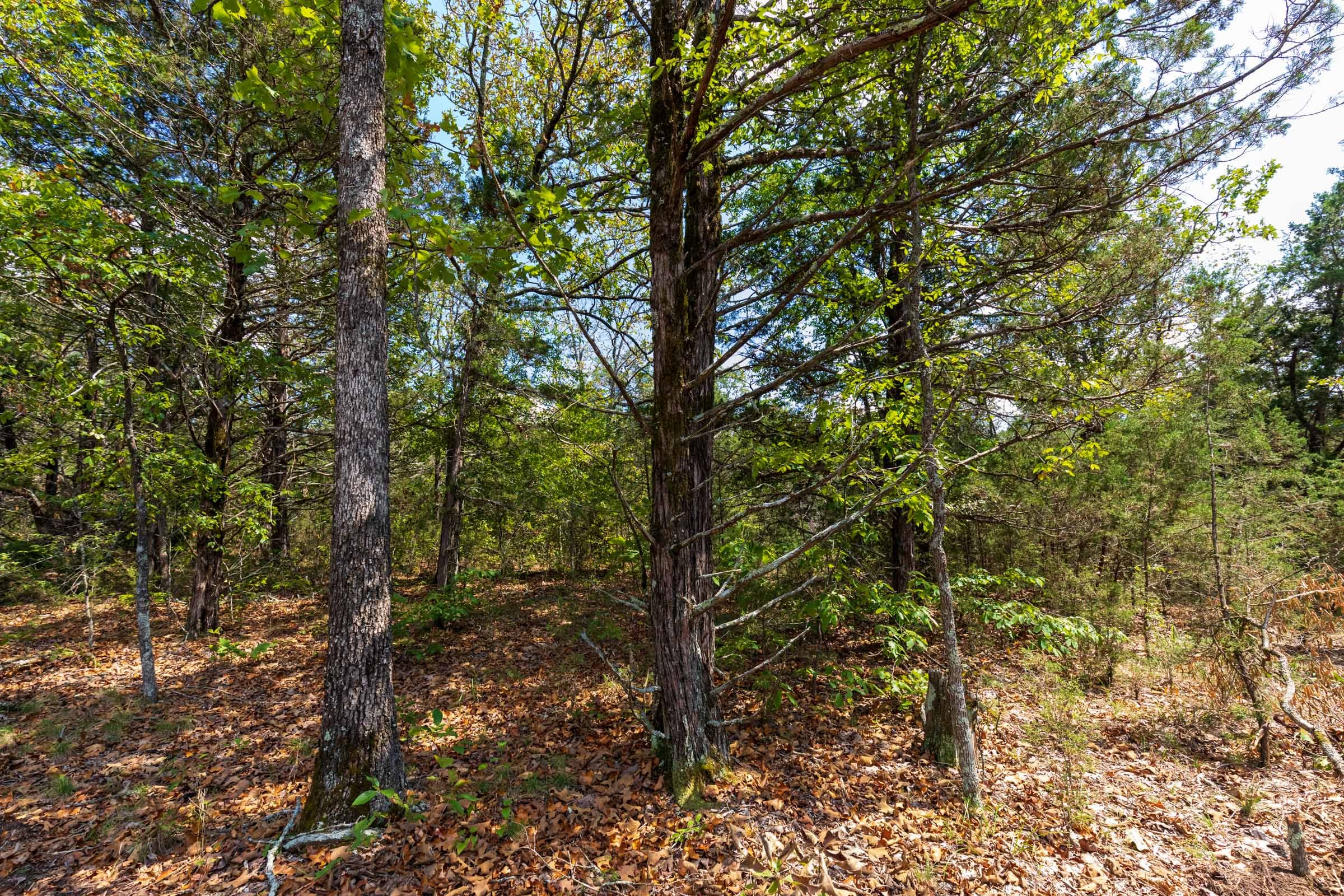 Heritage Bend Tract 39 photo 3