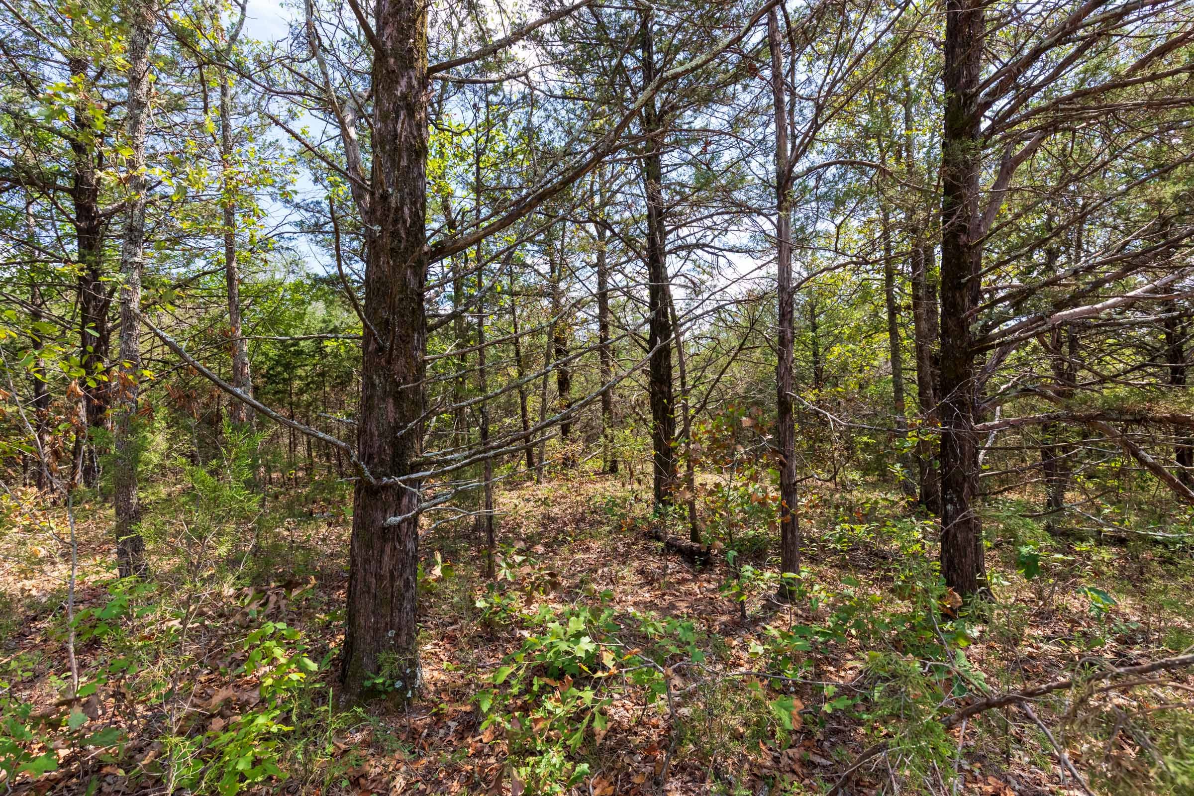Heritage Bend Tract 39 photo 6