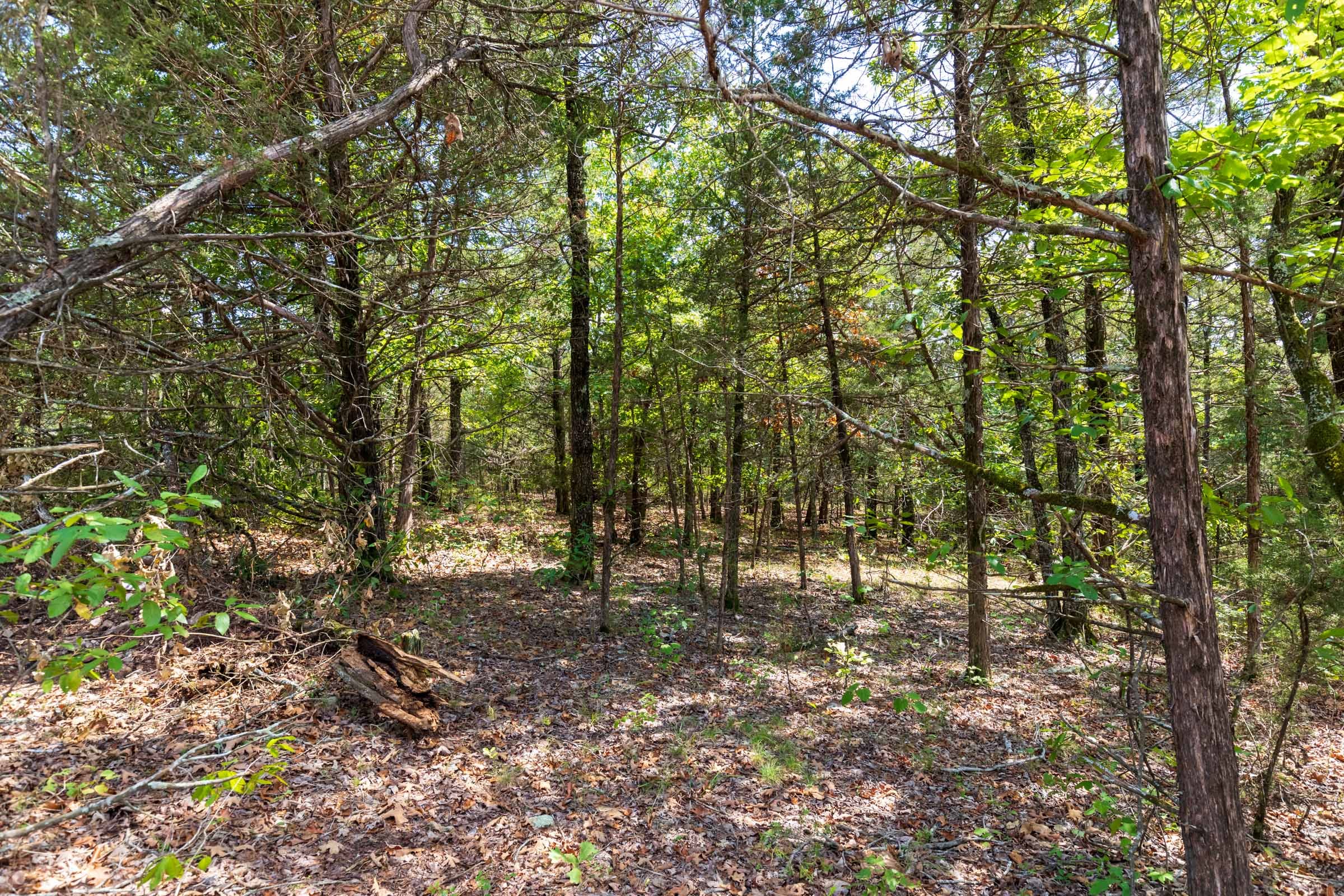 Heritage Bend Tract 39 photo 2