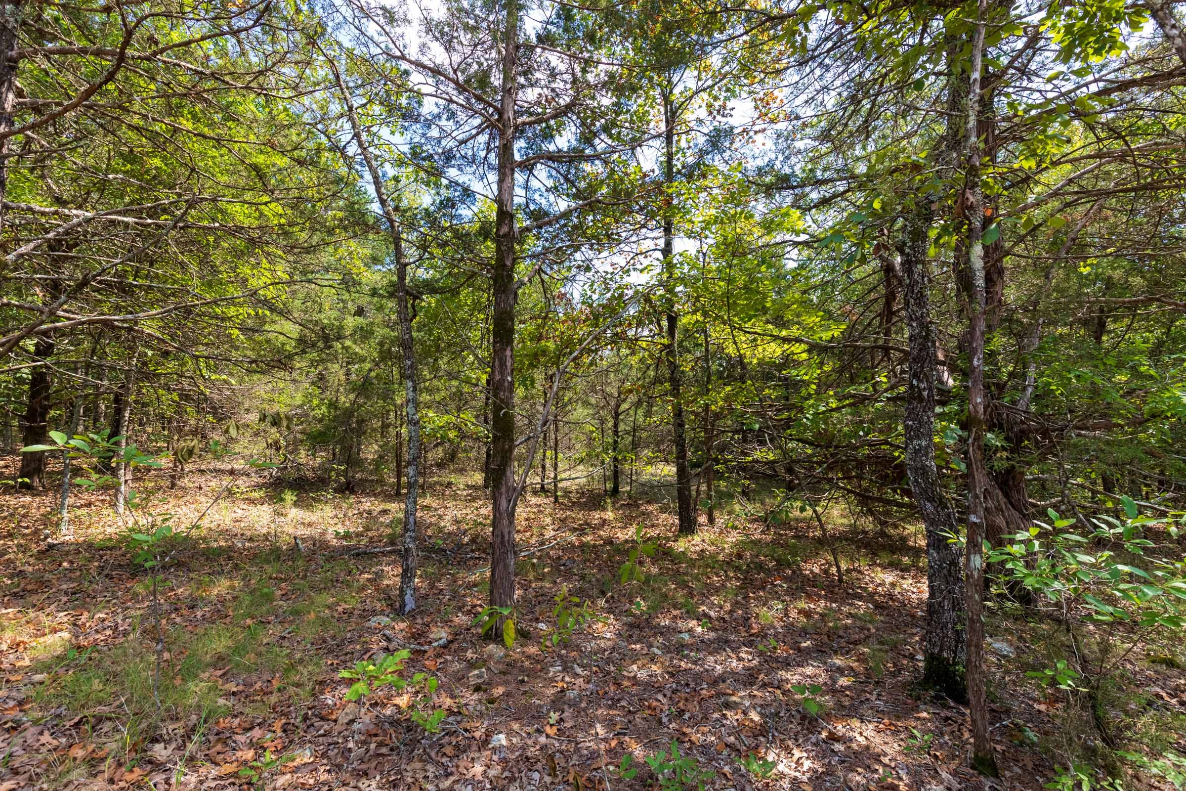 Heritage Bend Tract 39 photo 4