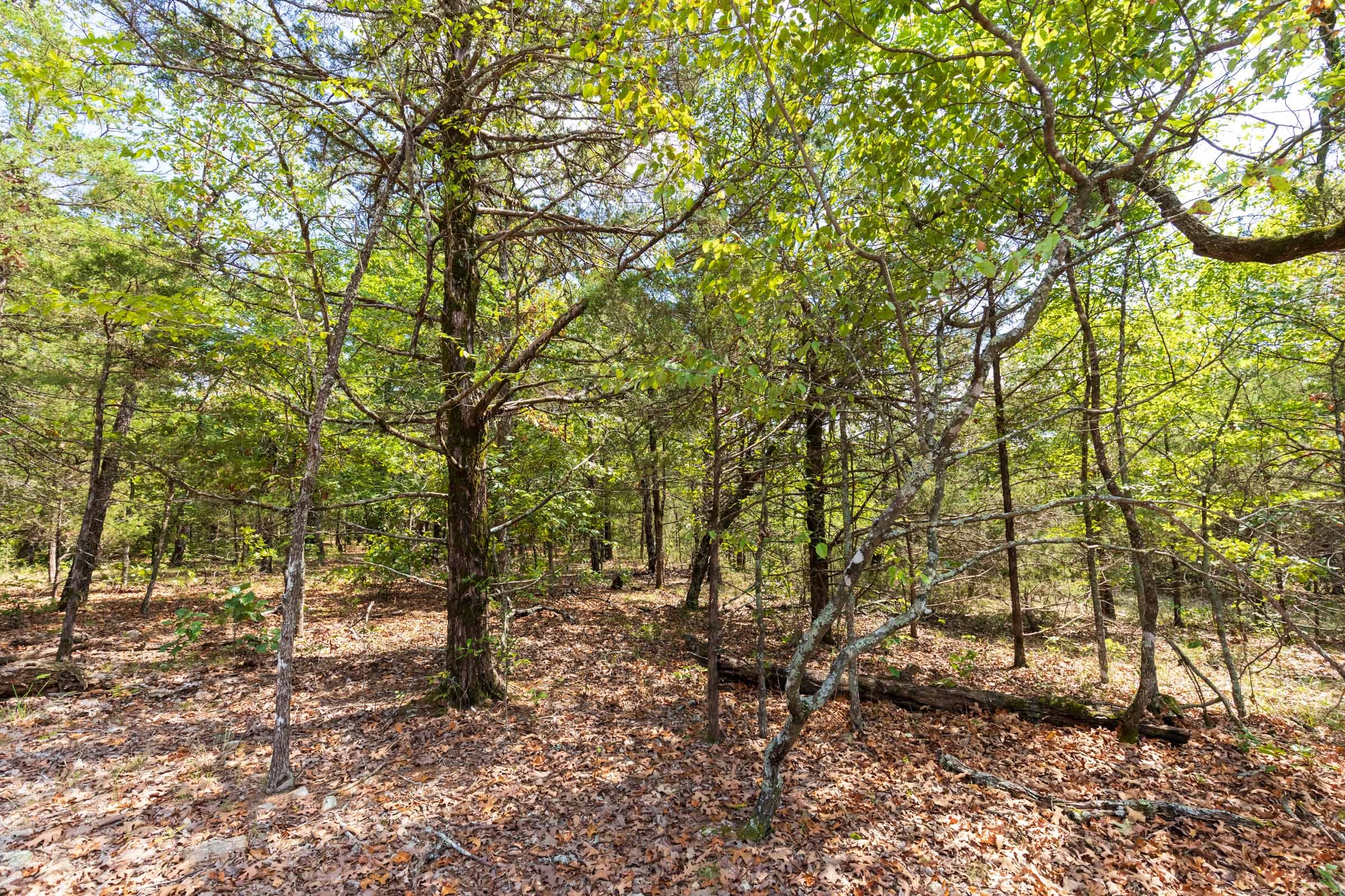 Heritage Bend Tract 39 photo 7