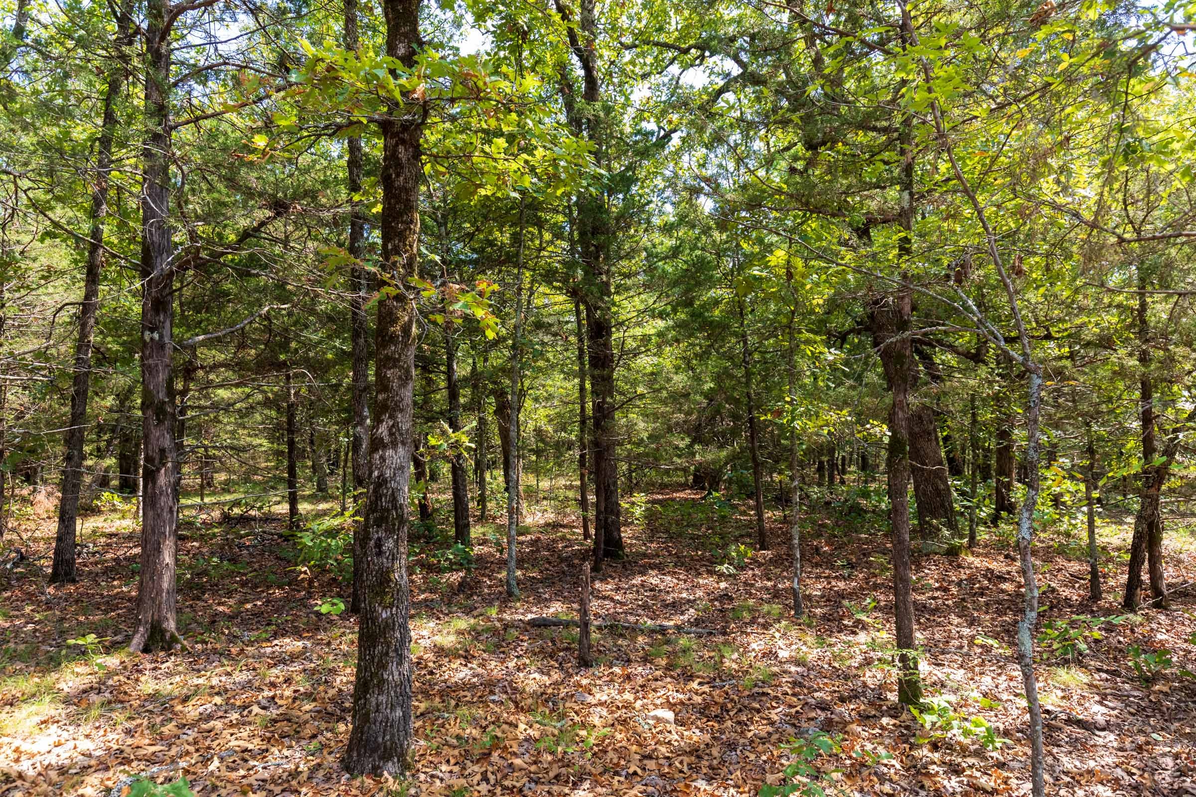 Heritage Bend Tract 39 photo 9