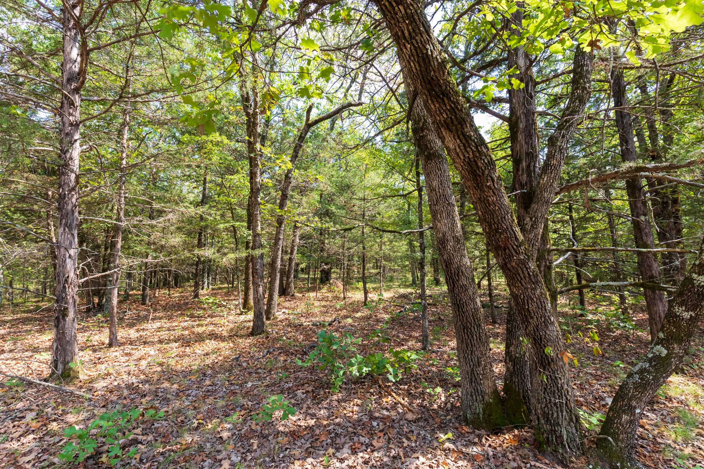 Heritage Bend Tract 39 photo 10