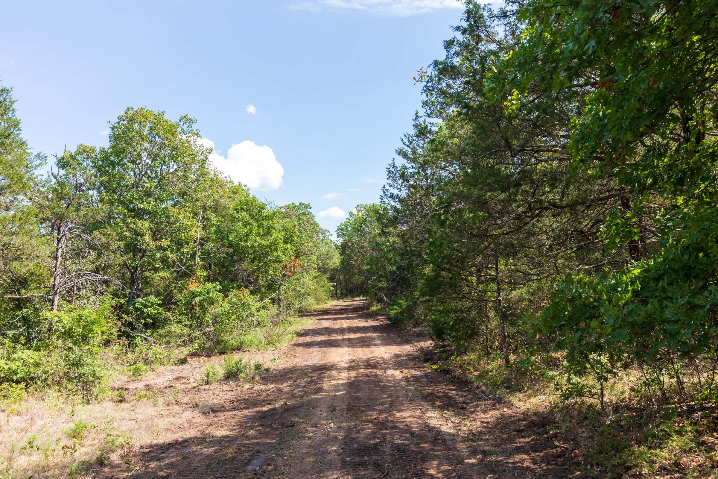 Heritage Bend Tract 39 photo 8
