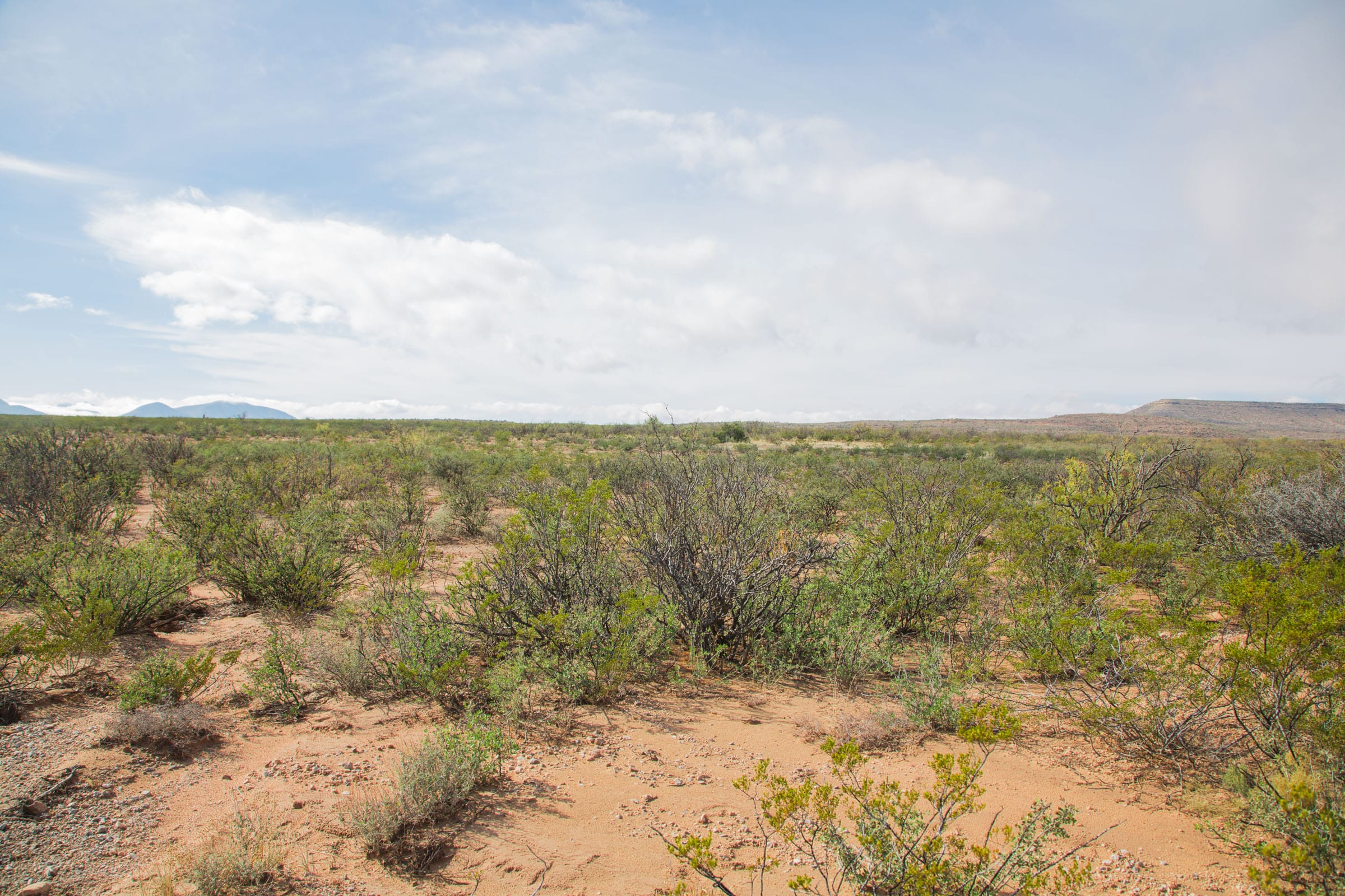 Sunset Ranches Tract 9 photo 2