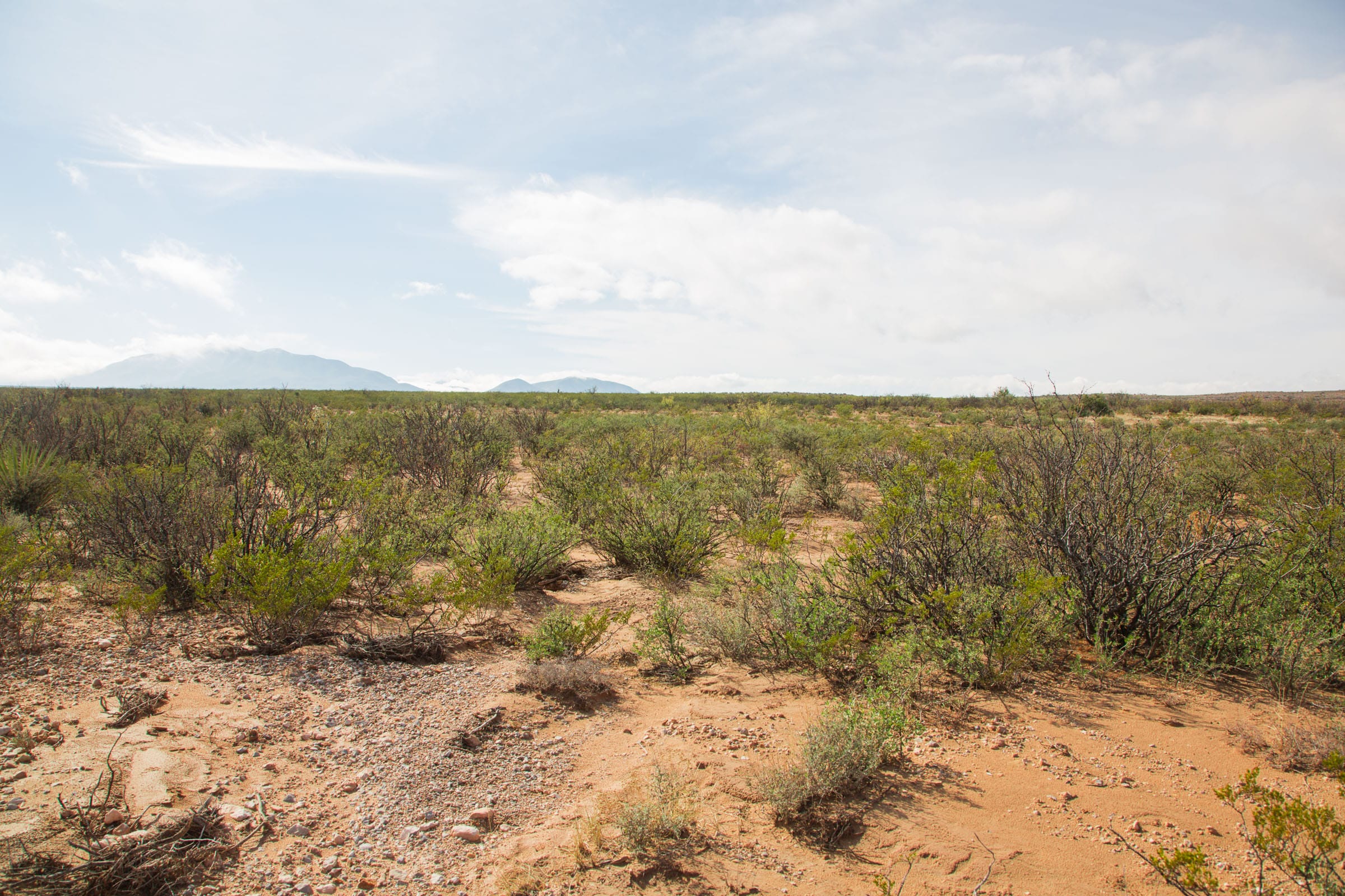 Sunset Ranches Tract 9 photo 3