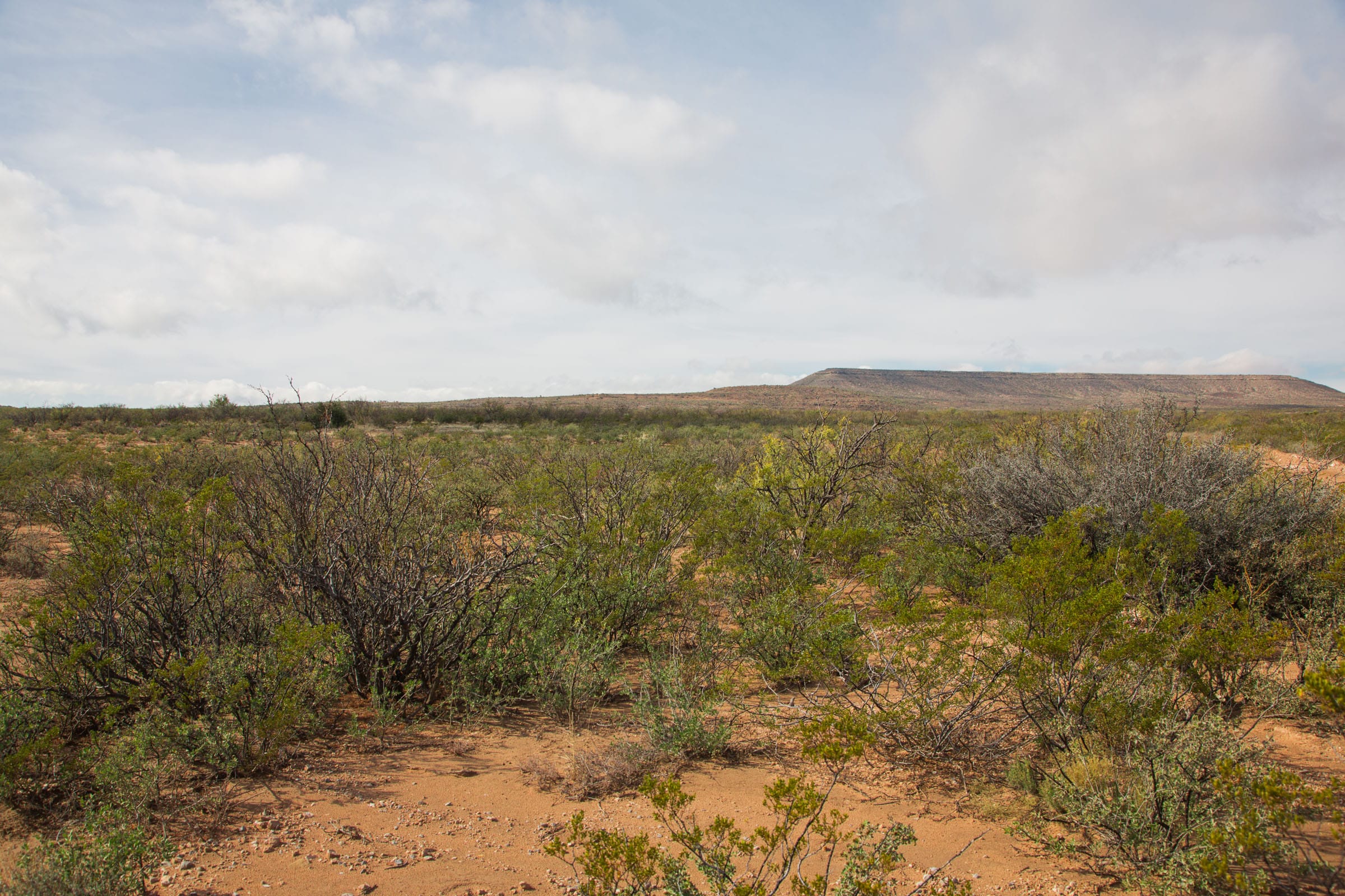 Sunset Ranches Tract 9 photo 5
