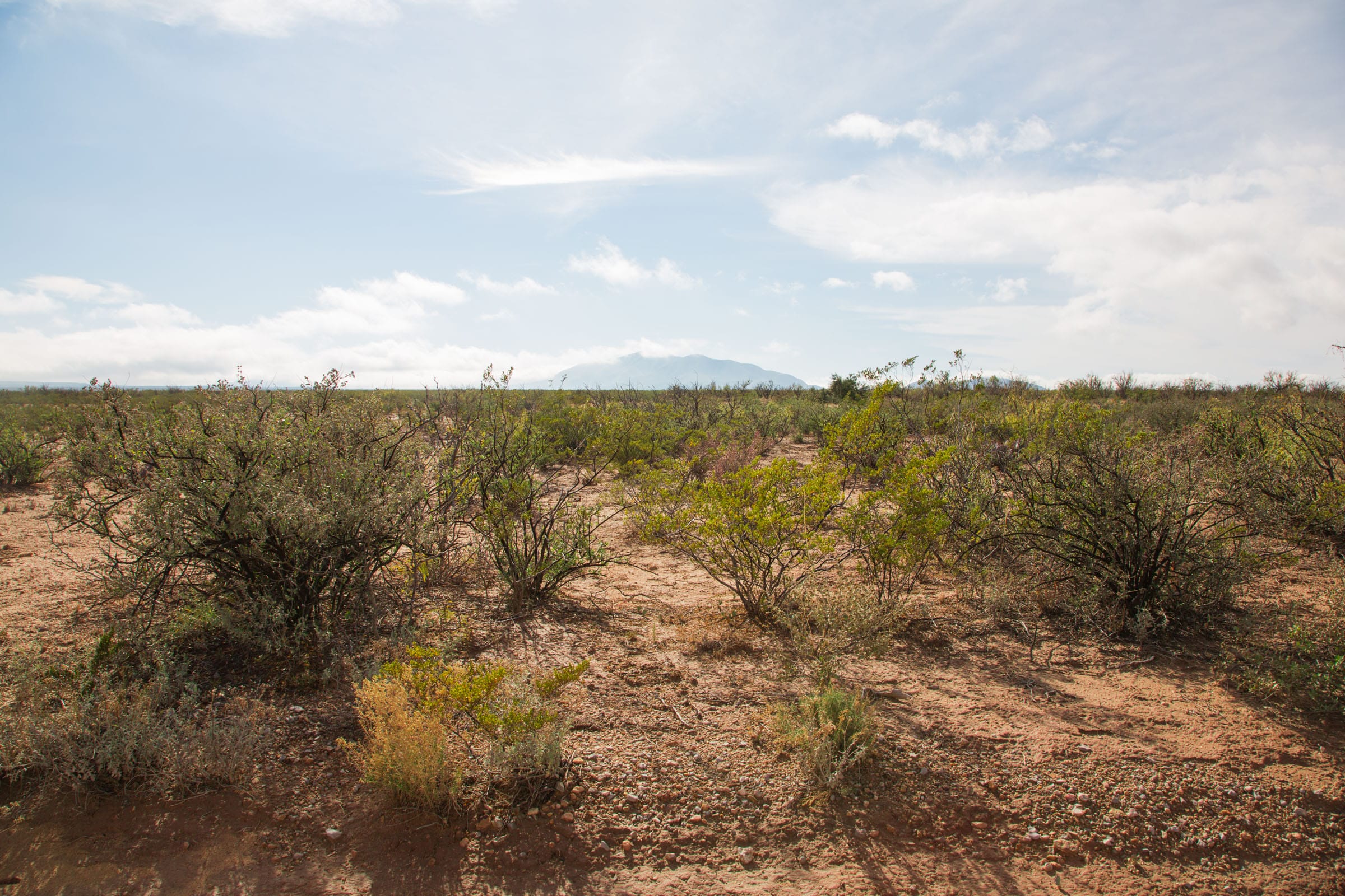 Sunset Ranches Tract 9 photo 7