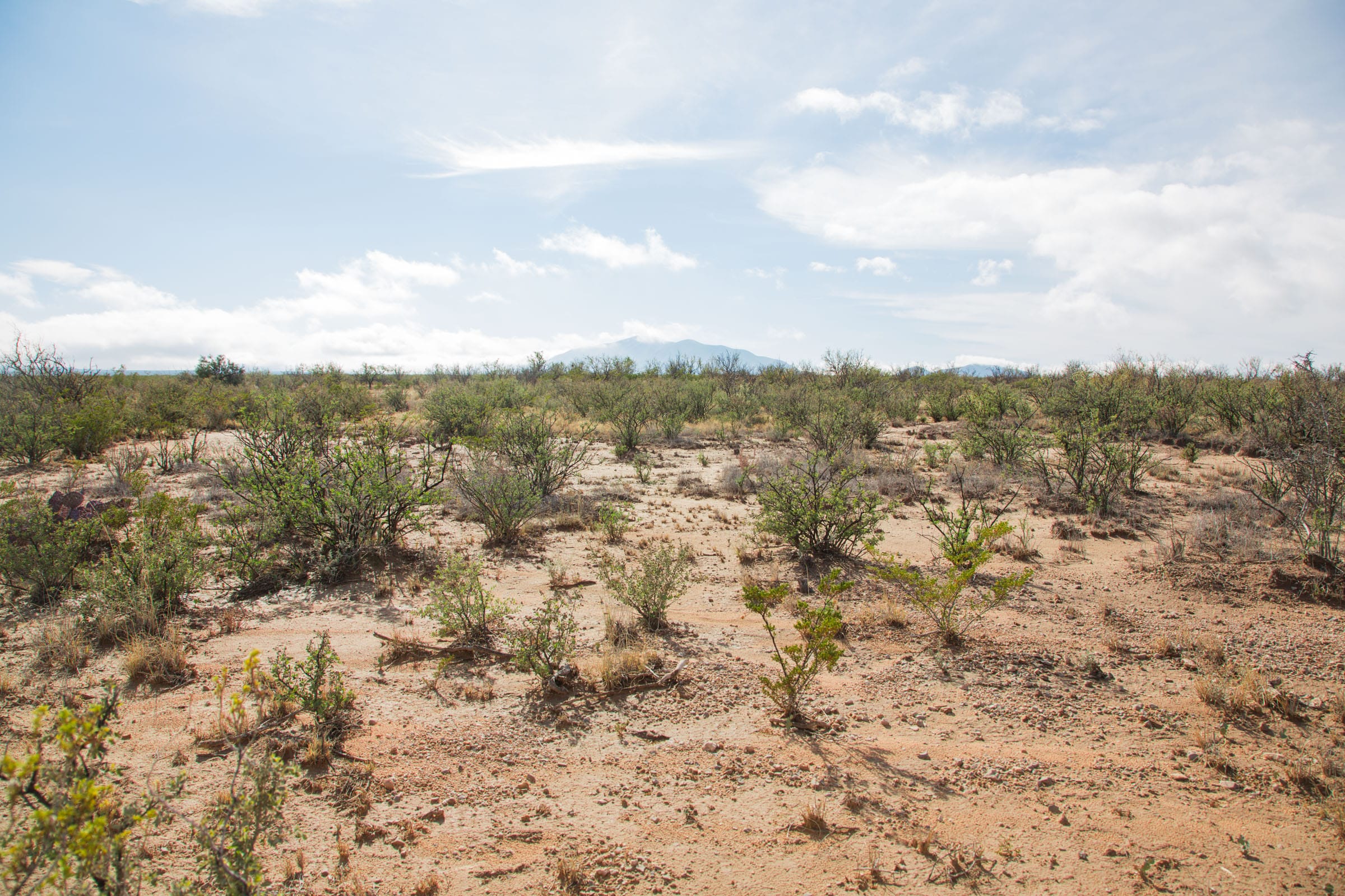 Sunset Ranches Tract 9 photo 8