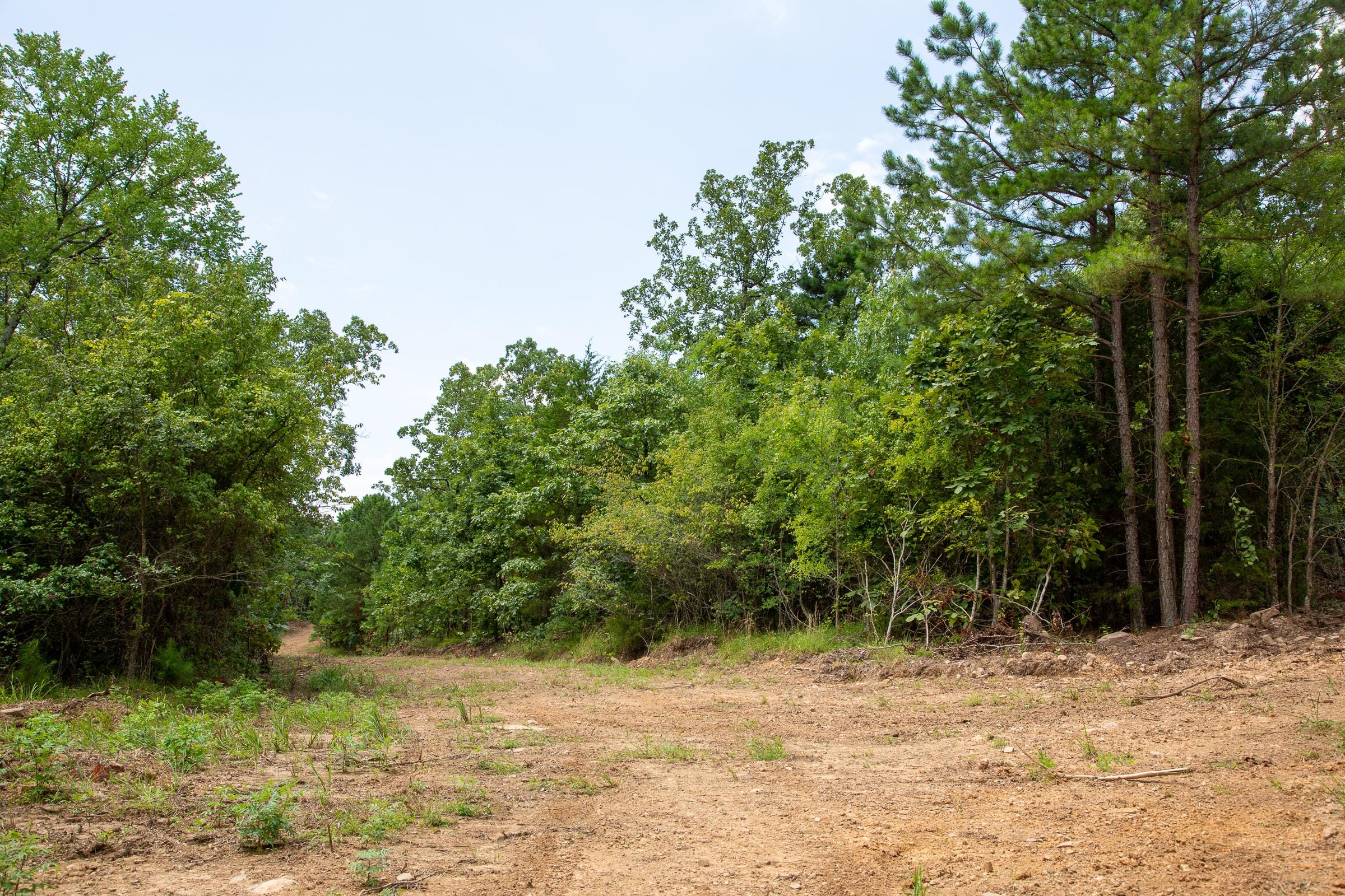 Tyler Stone Ranch Tract 60 photo 16