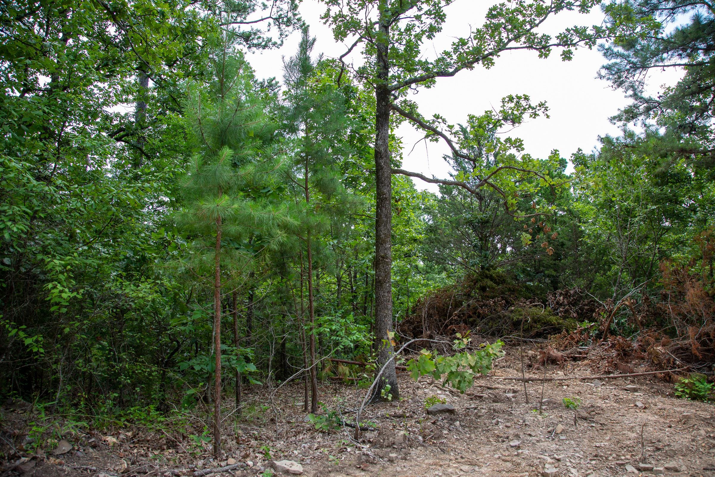 Tyler Stone Ranch Tract 60 photo 4