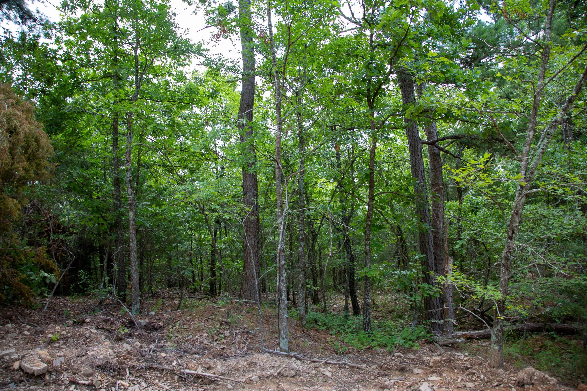 Tyler Stone Ranch Tract 60 photo 5