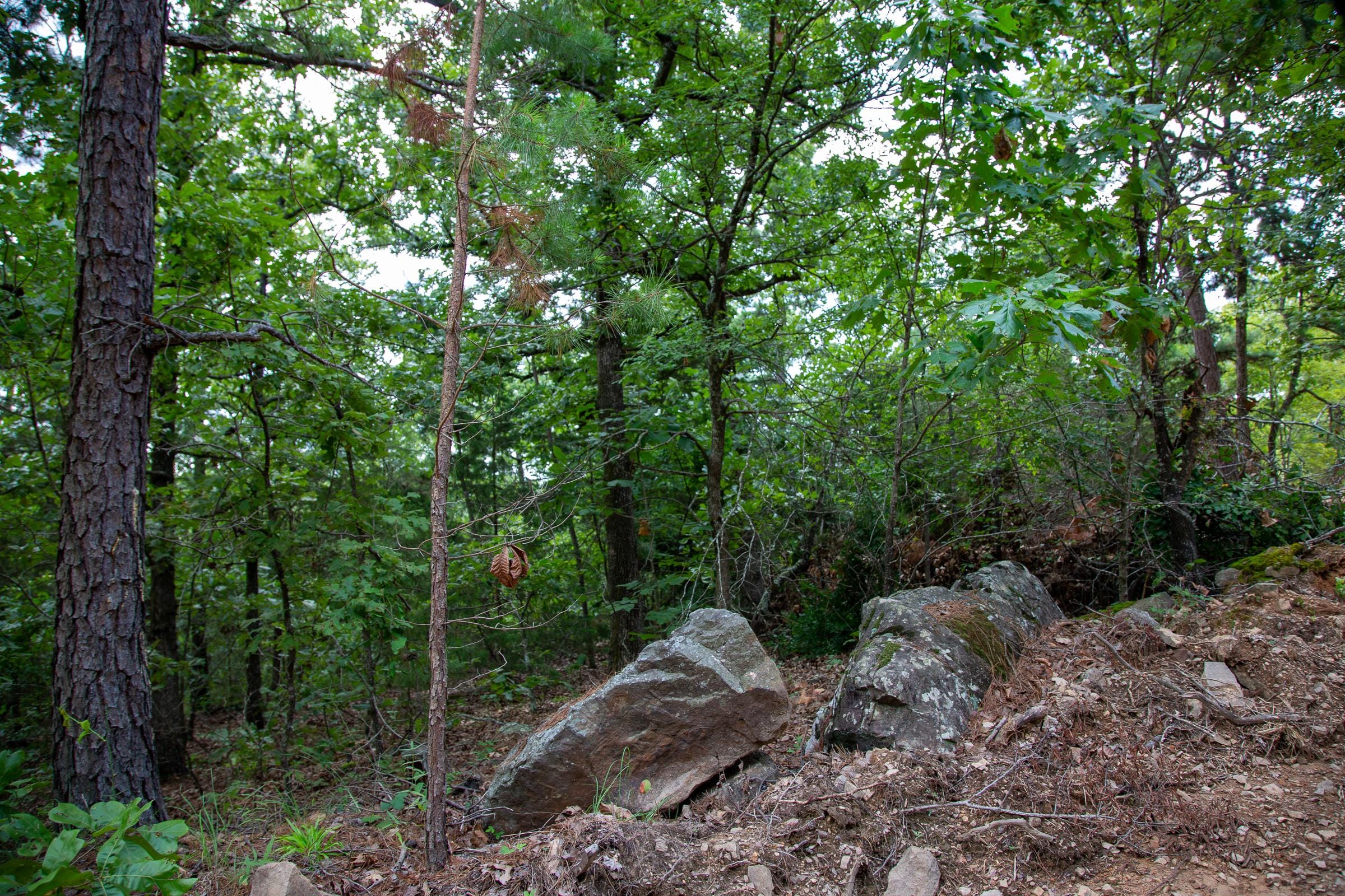 Tyler Stone Ranch Tract 60 photo 6