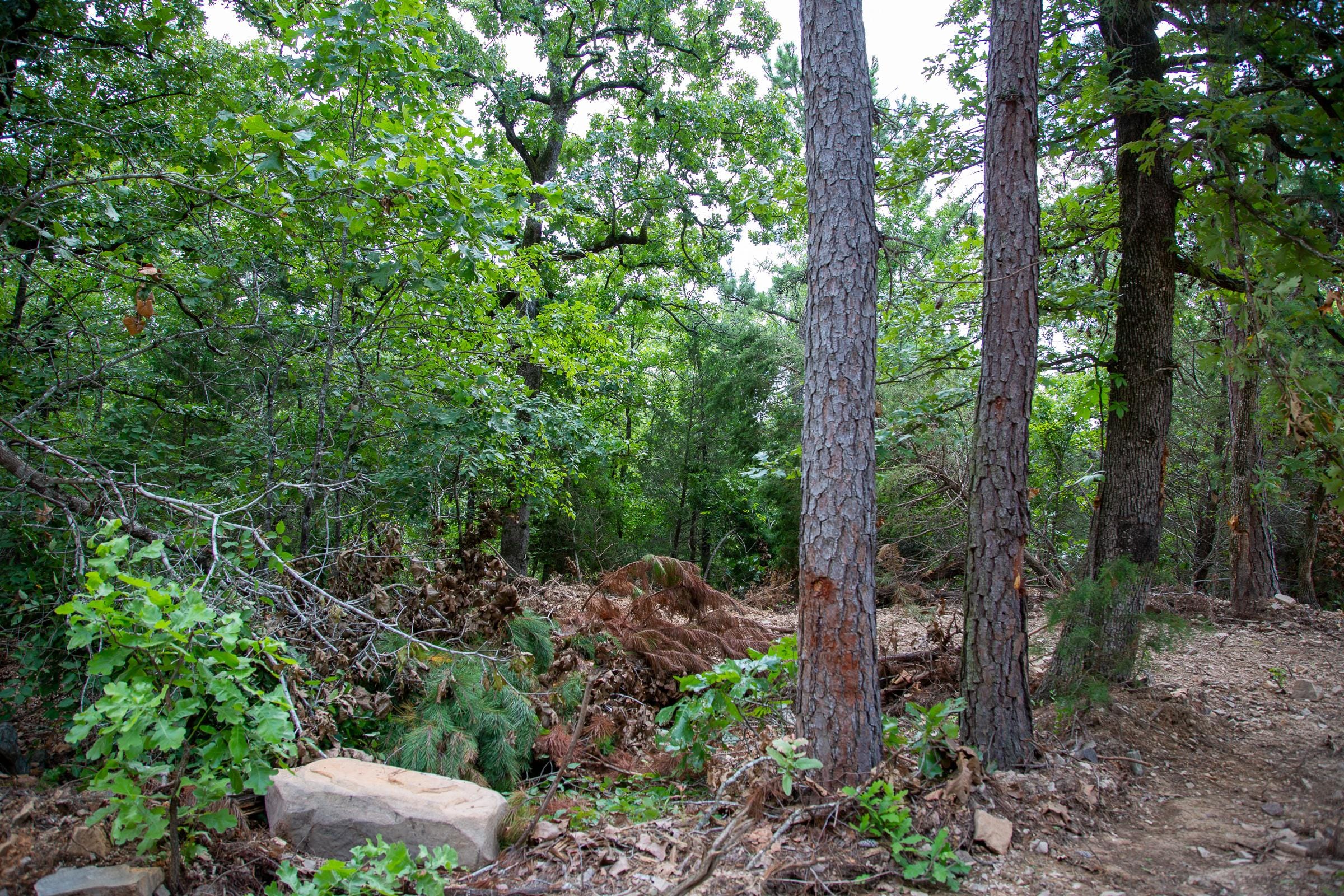 Tyler Stone Ranch Tract 60 photo 7