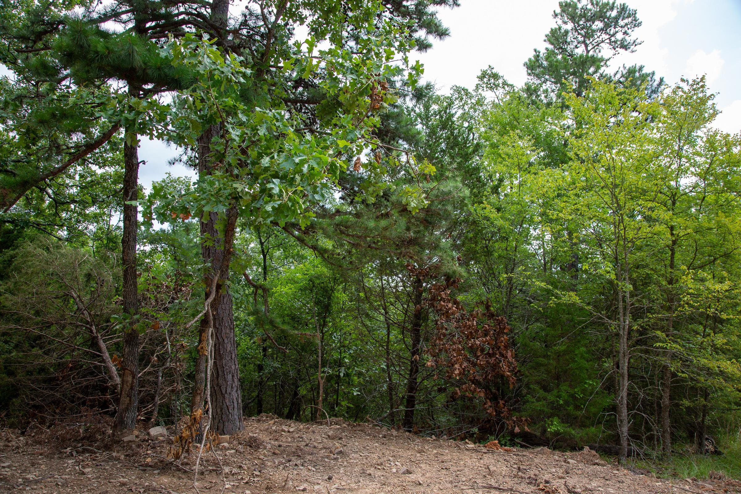 Tyler Stone Ranch Tract 60 photo 8