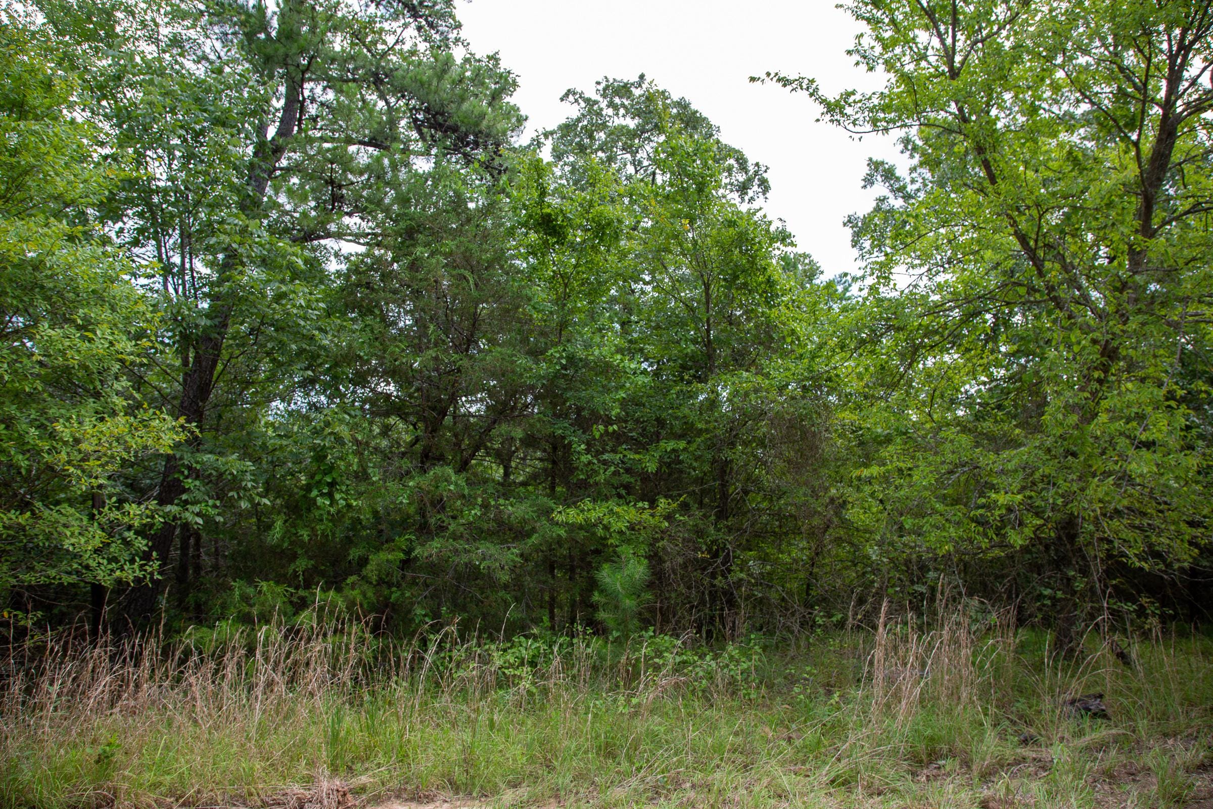 Tyler Stone Ranch Tract 60 photo 10