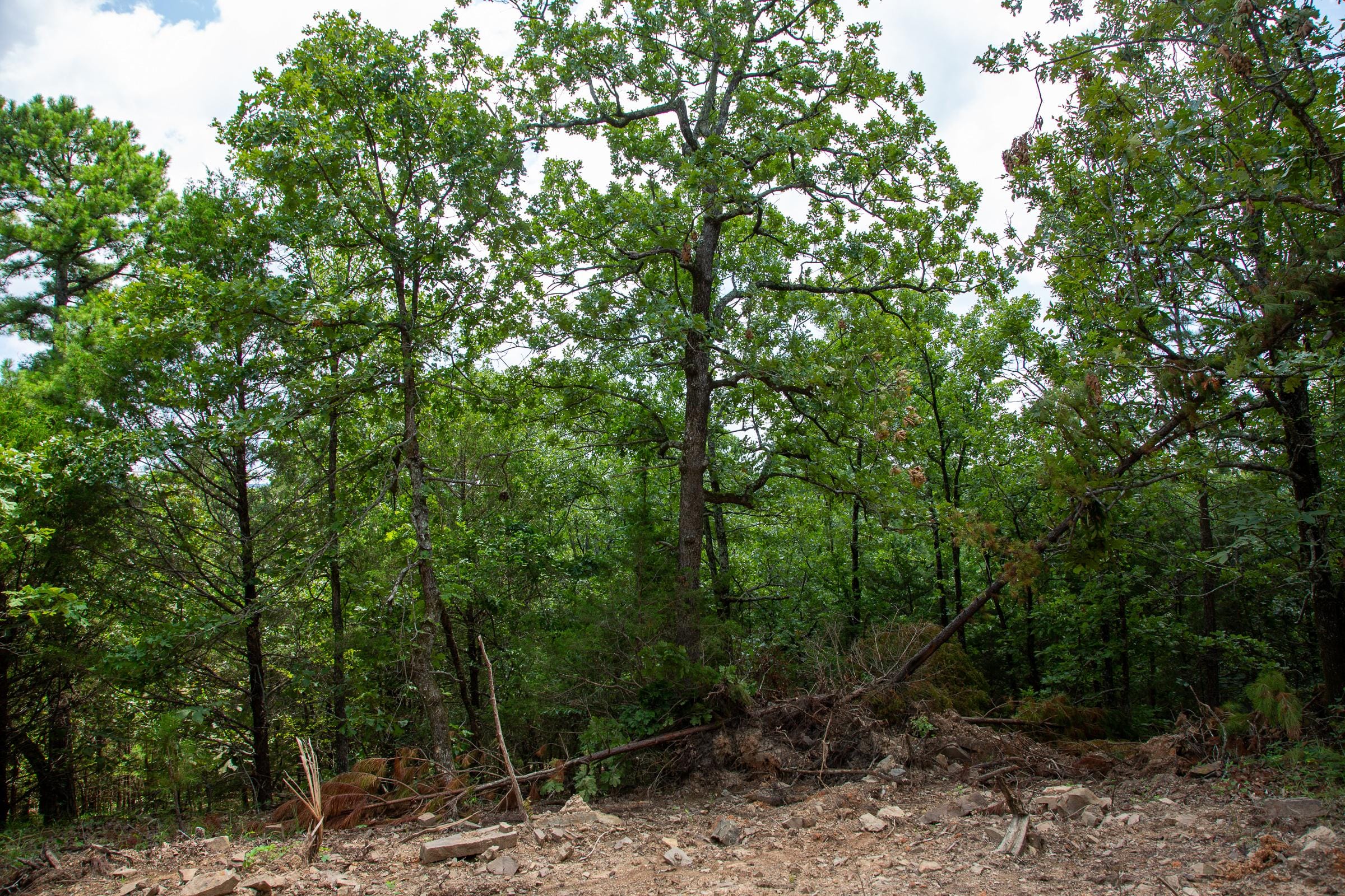 Tyler Stone Ranch Tract 60 photo 12