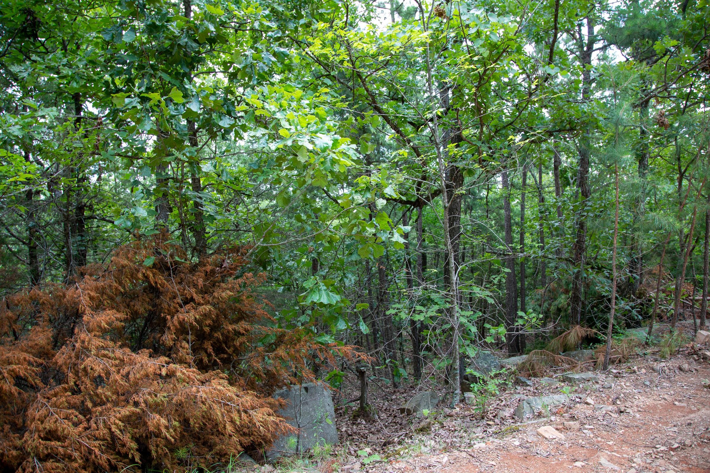 Tyler Stone Ranch Tract 60 photo 14