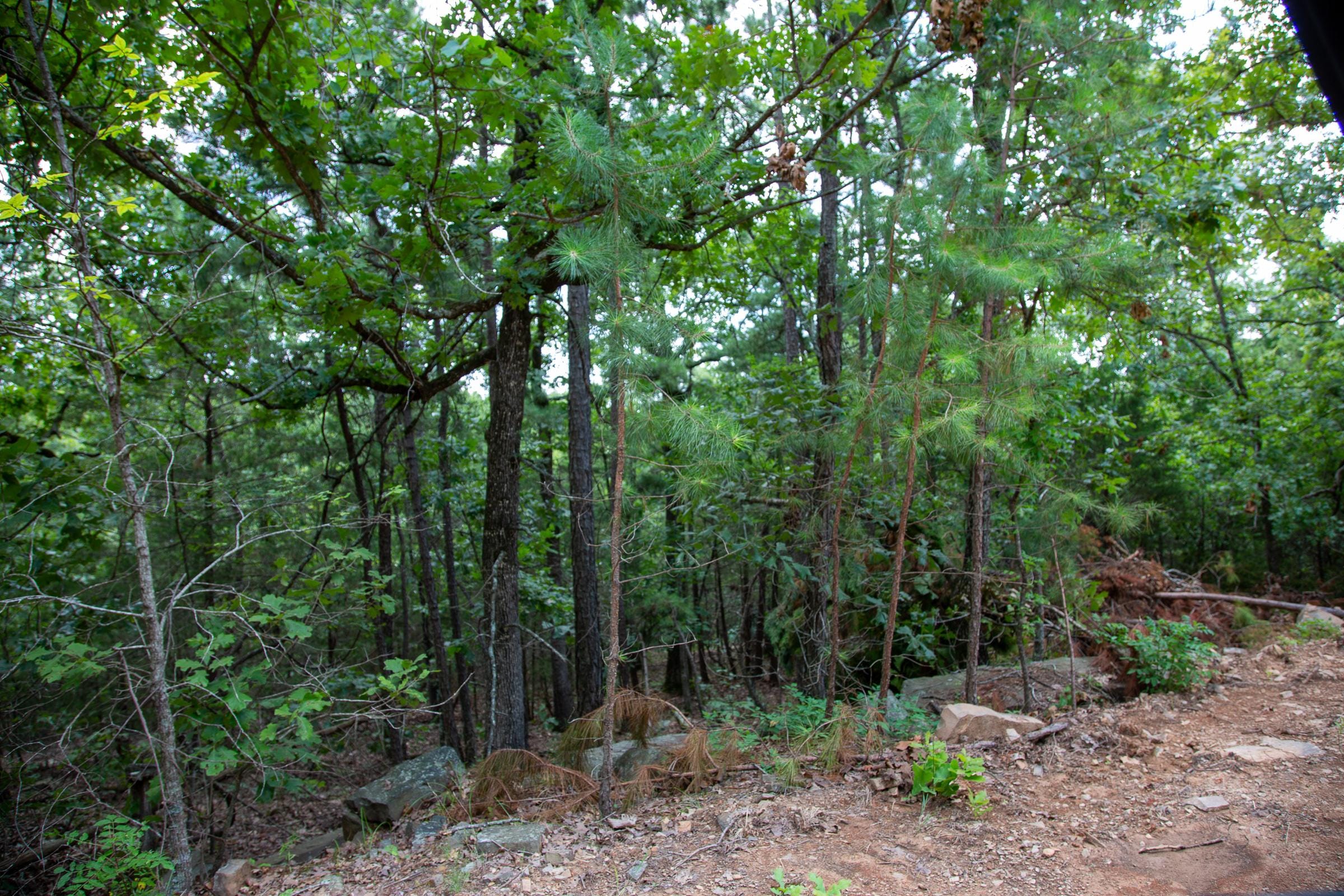 Tyler Stone Ranch Tract 60 photo 15