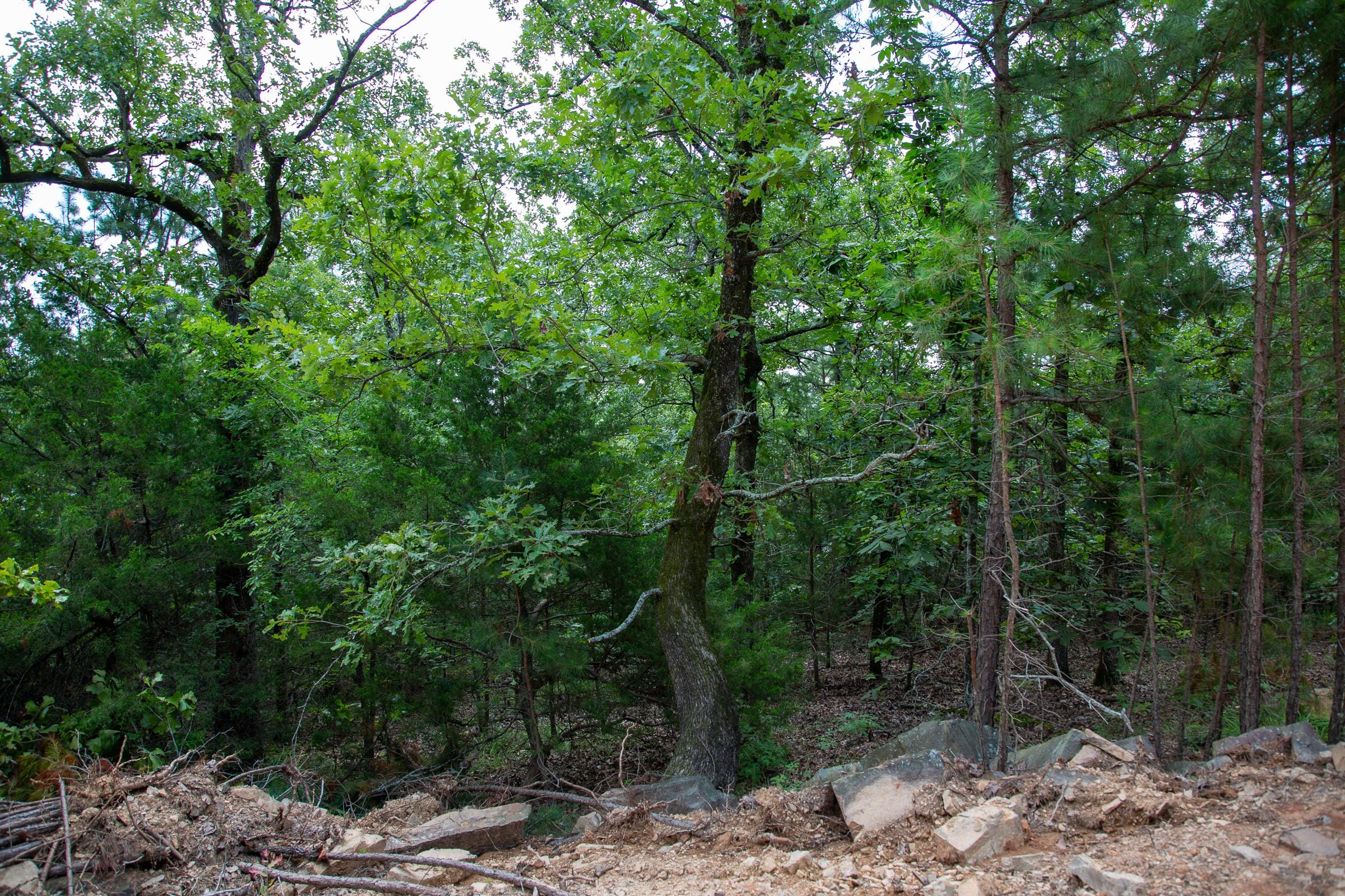 Tyler Stone Ranch Tract 60 photo 1