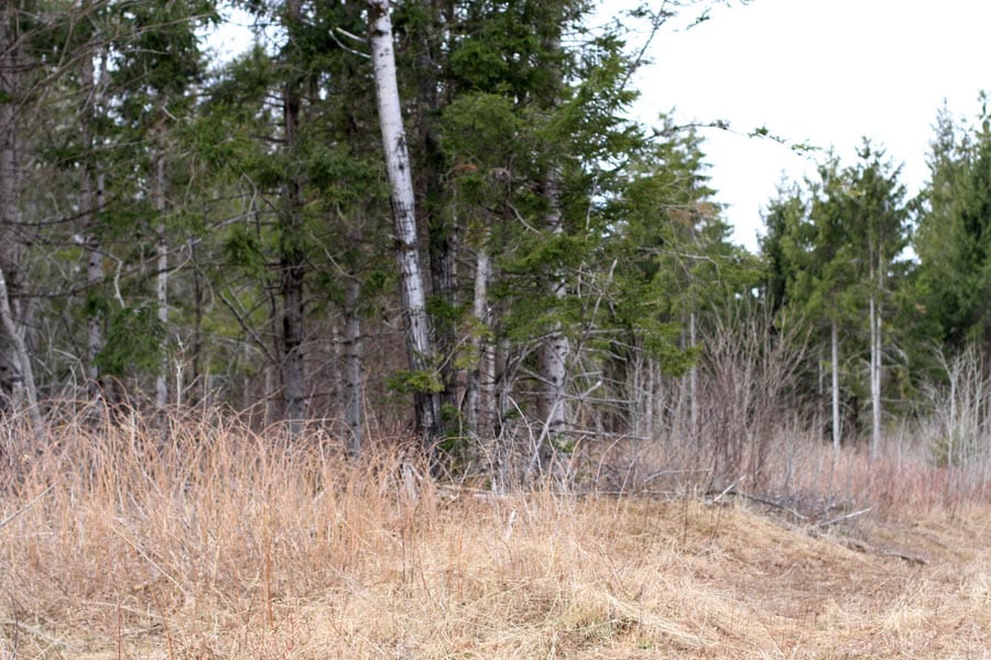 Sunrise Estates Tract 3 photo 2