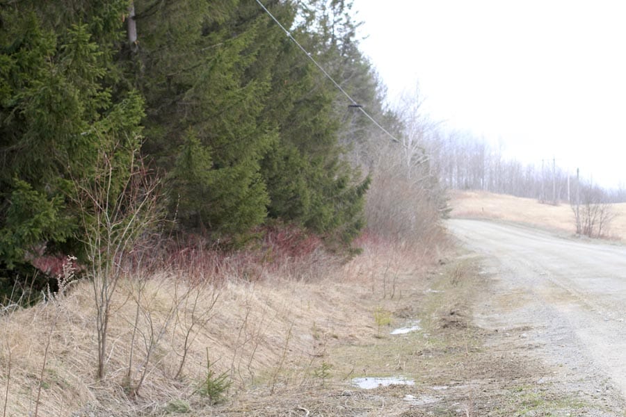 Sunrise Estates Tract 3 photo 4