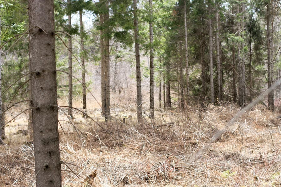 Sunrise Estates Tract 3 photo 6