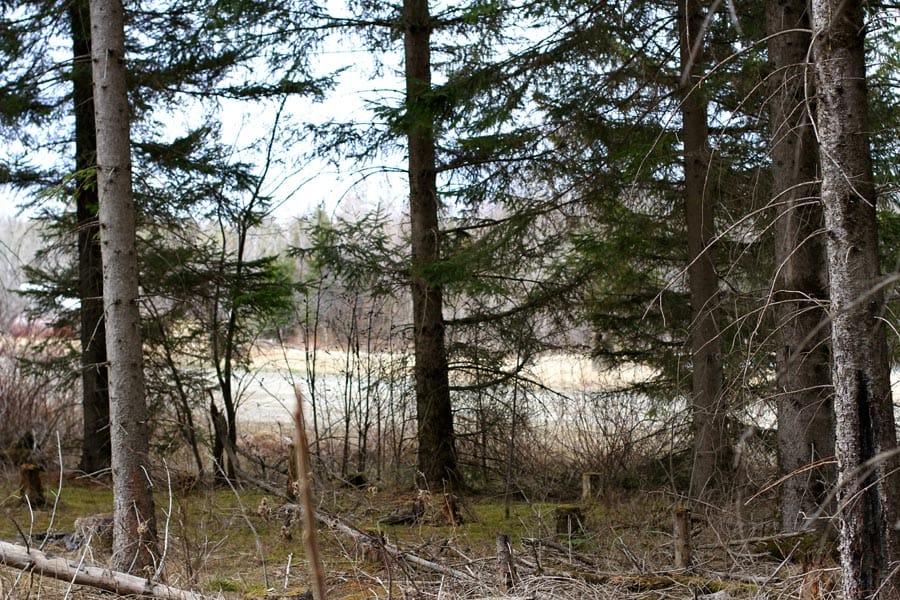 Sunrise Estates Tract 3 photo 10