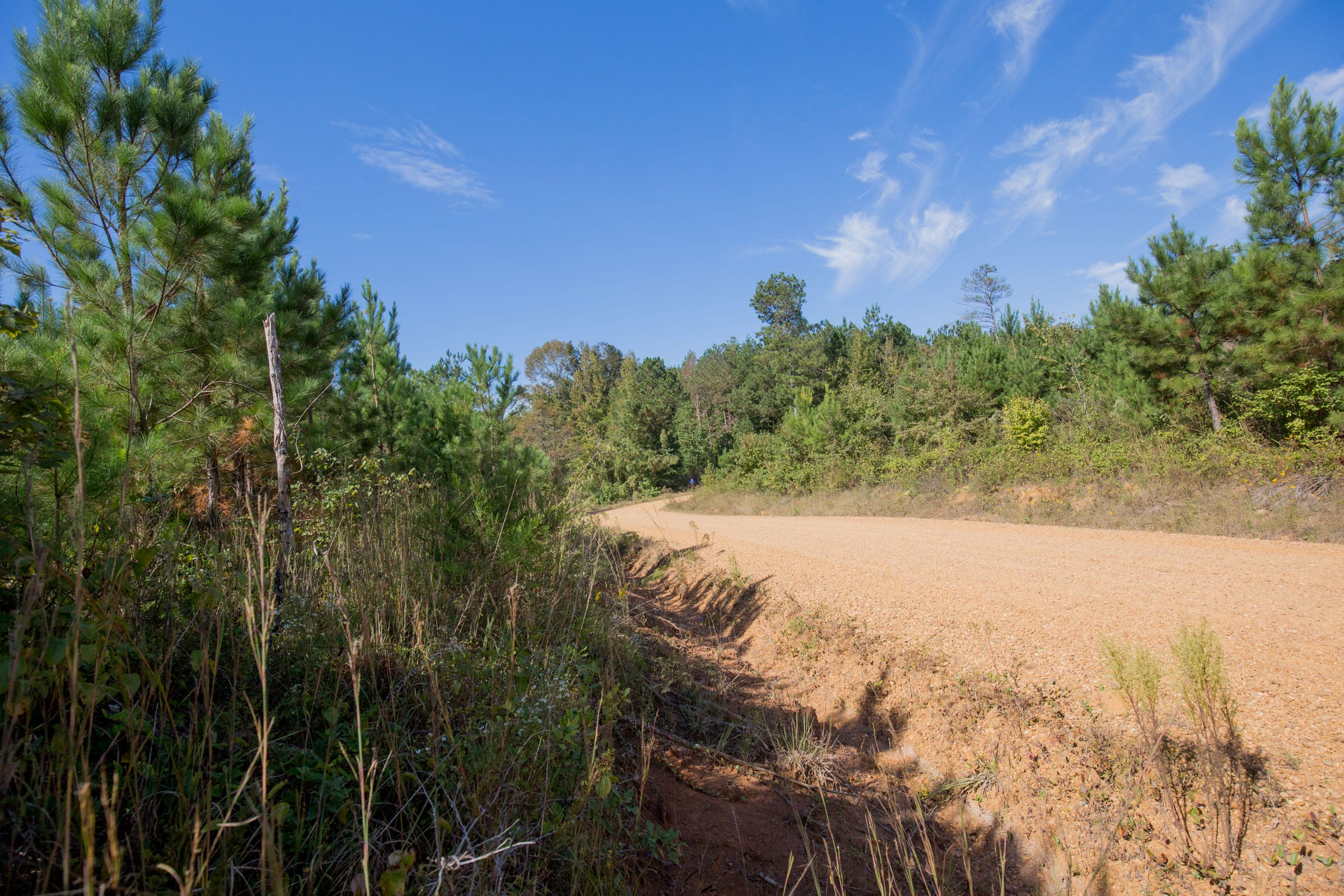 Sky Ranch Tract 1 photo 6