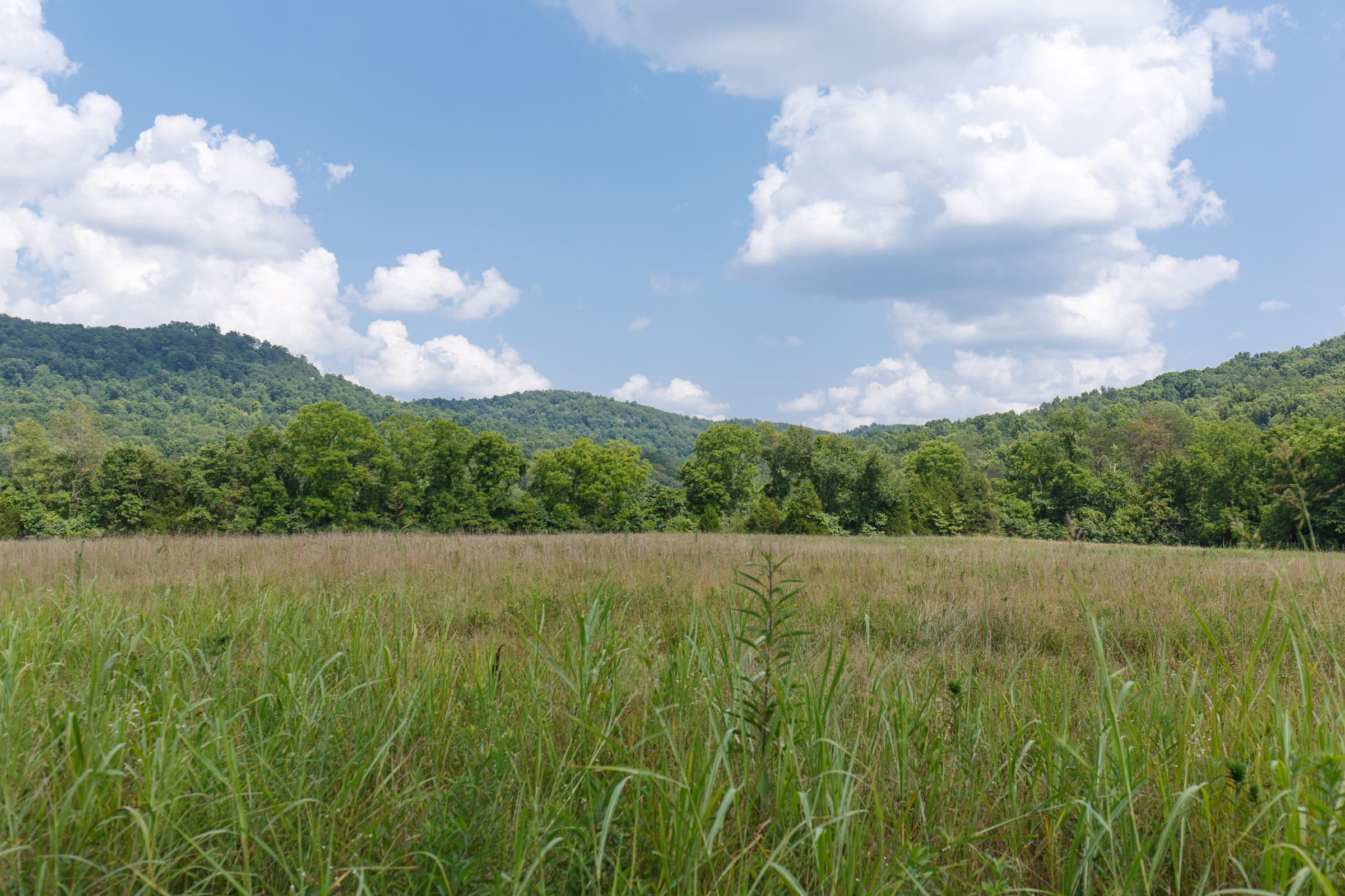 Rolling Hills Tract 23 photo 7