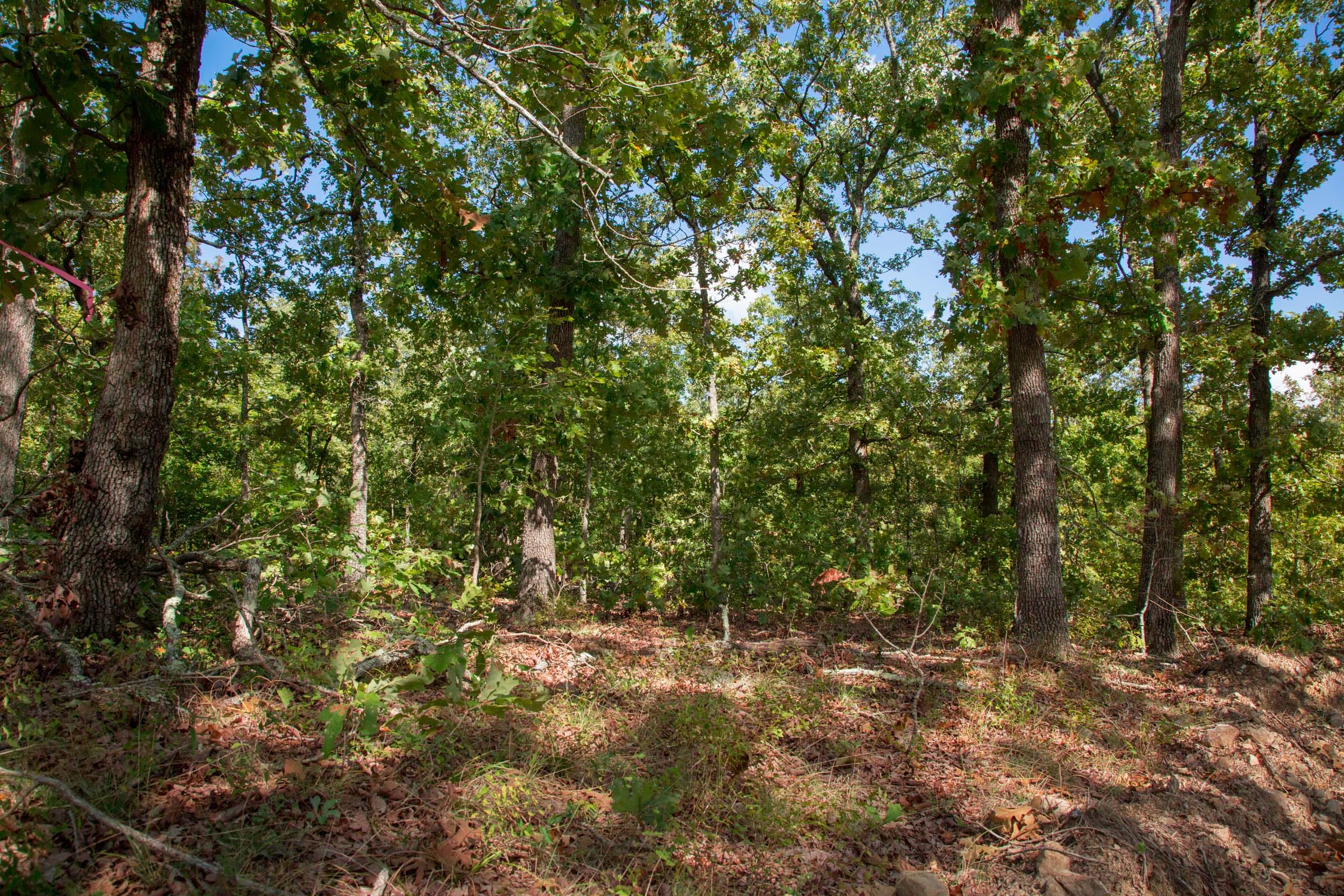 Wagon Wheel Ranch Tract 34 photo 2
