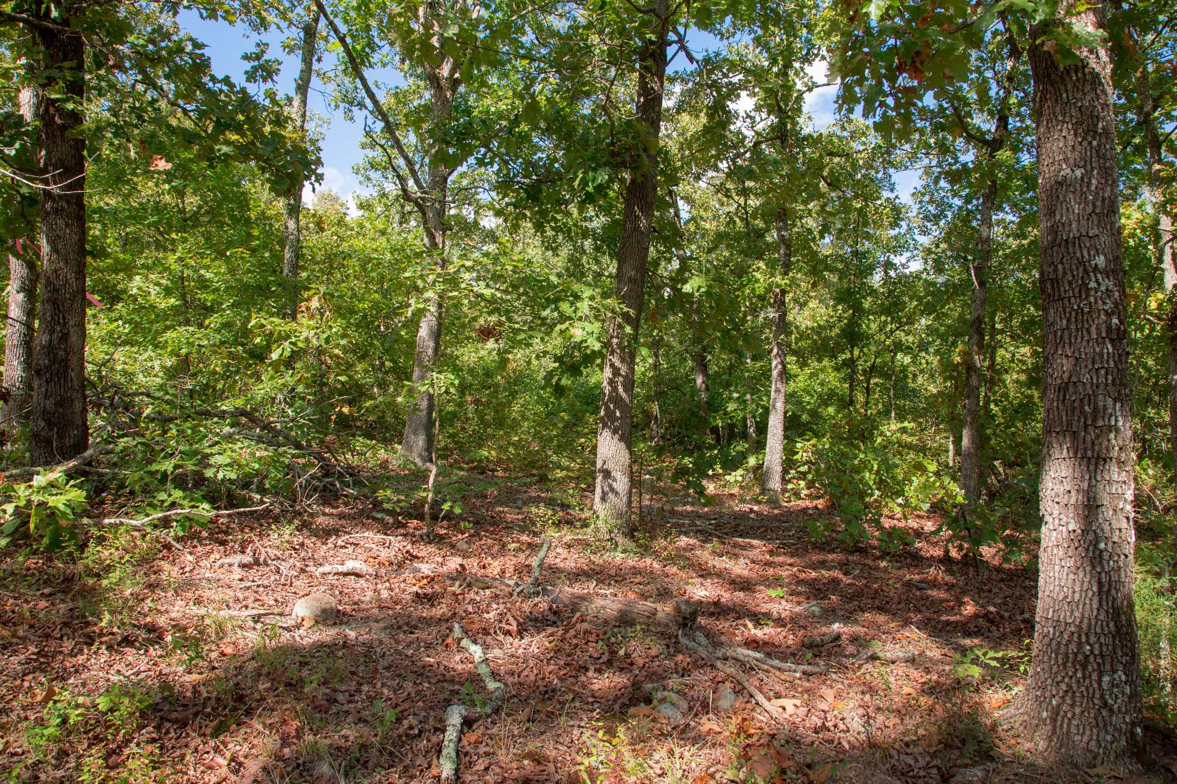 Wagon Wheel Ranch Tract 34 photo 3