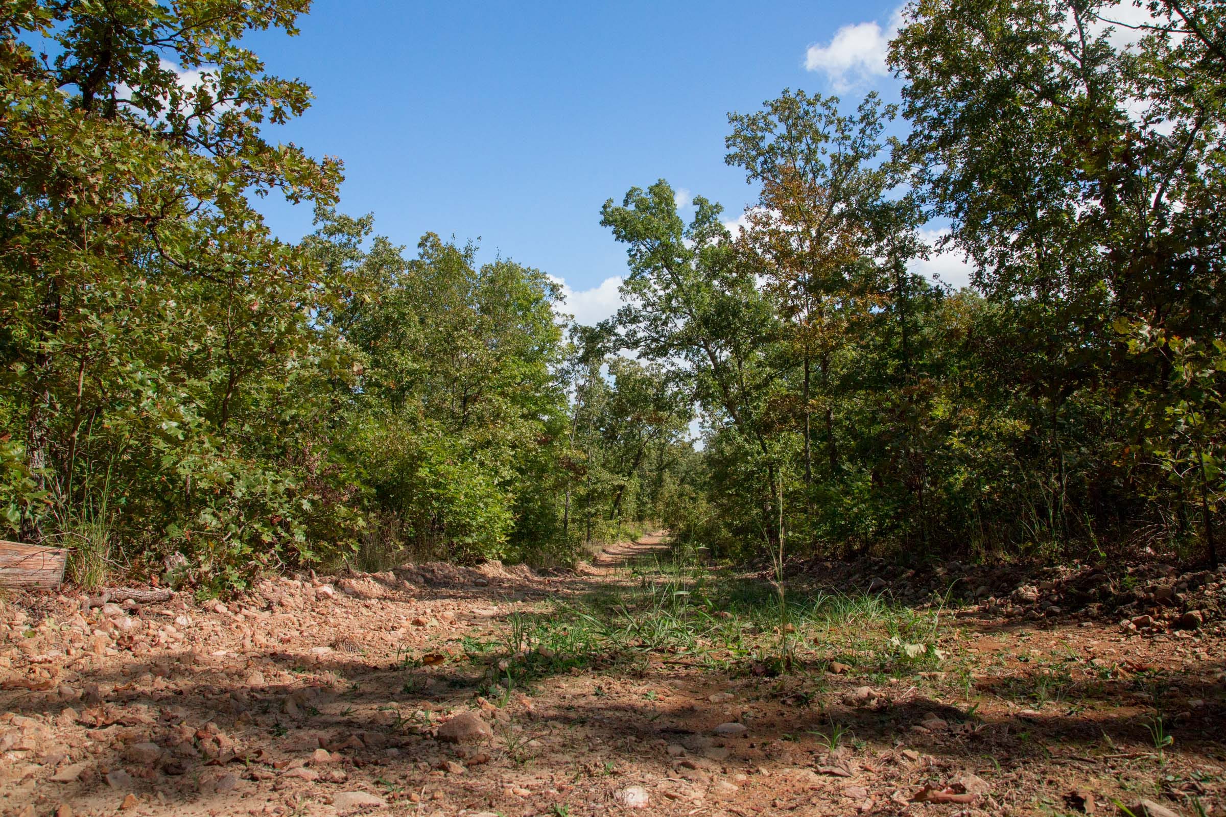 Wagon Wheel Ranch Tract 34 photo 4