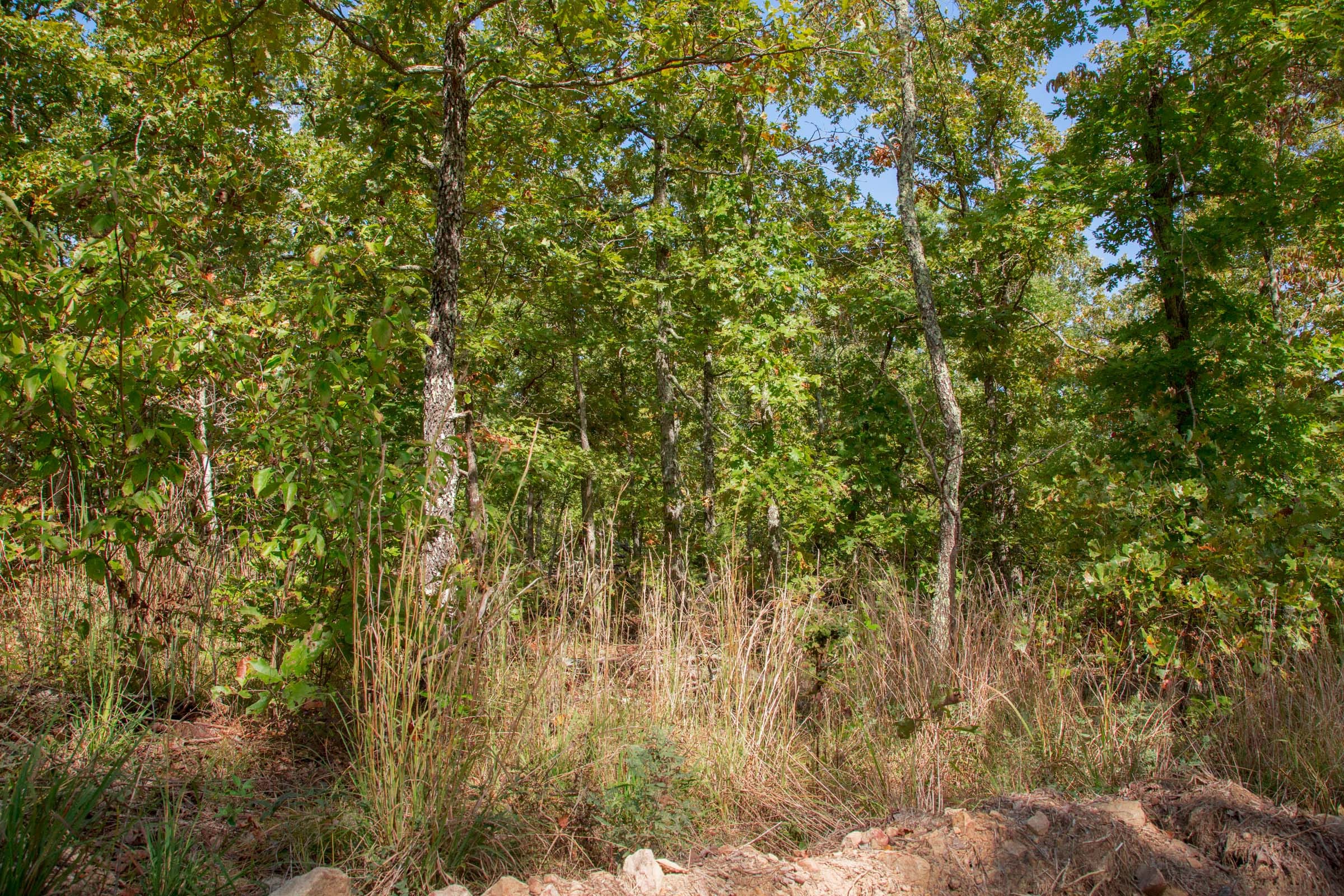 Wagon Wheel Ranch Tract 34 photo 5