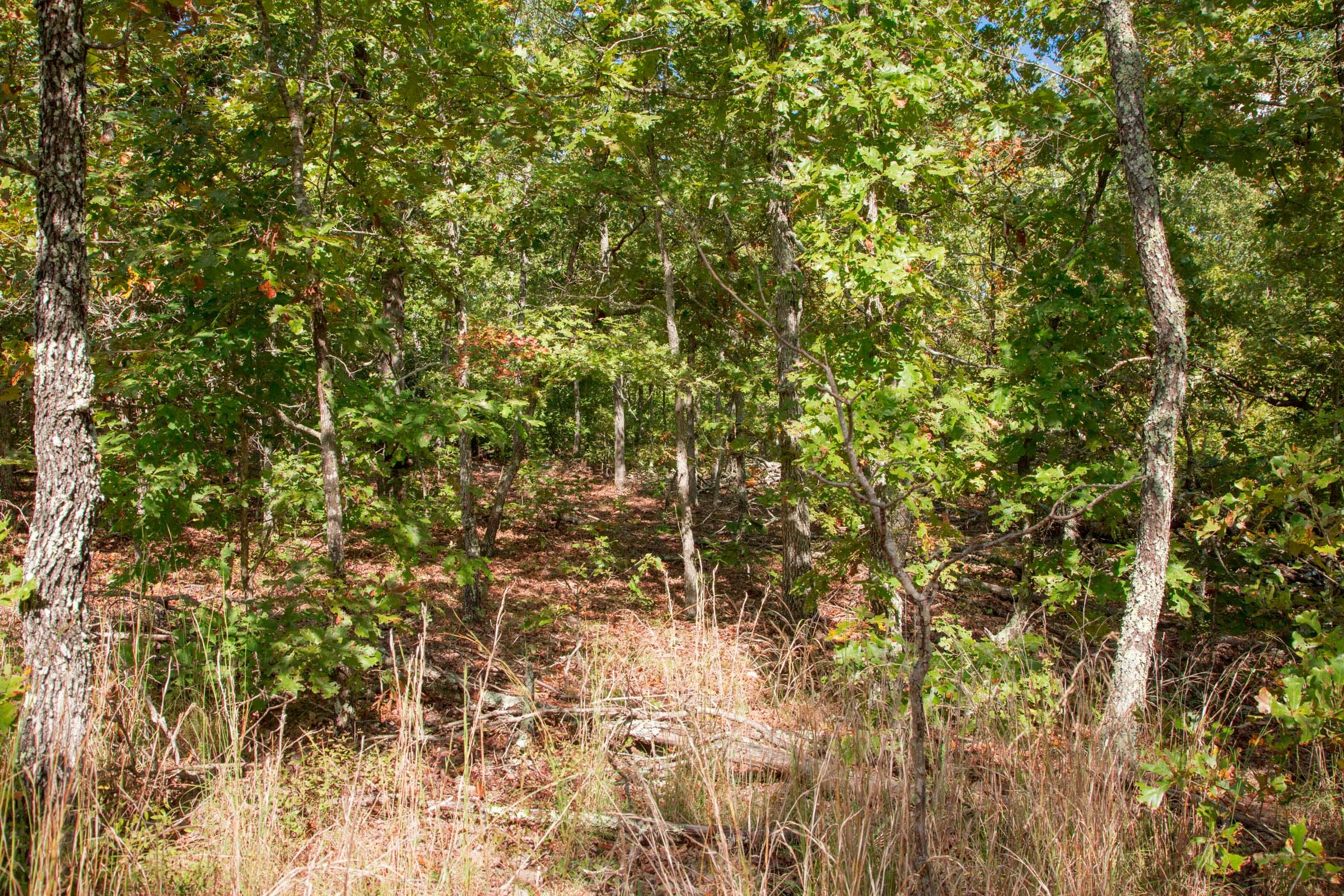 Wagon Wheel Ranch Tract 34 photo 6