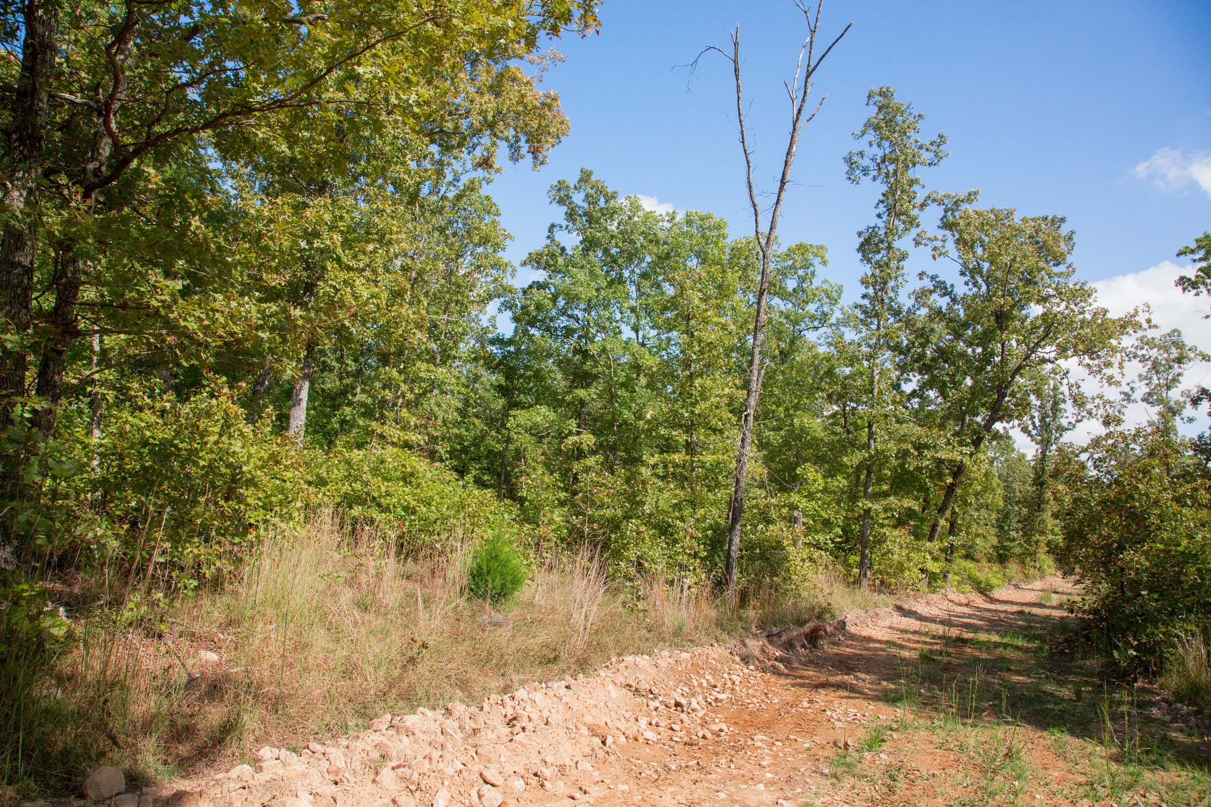 Wagon Wheel Ranch Tract 34 photo 7