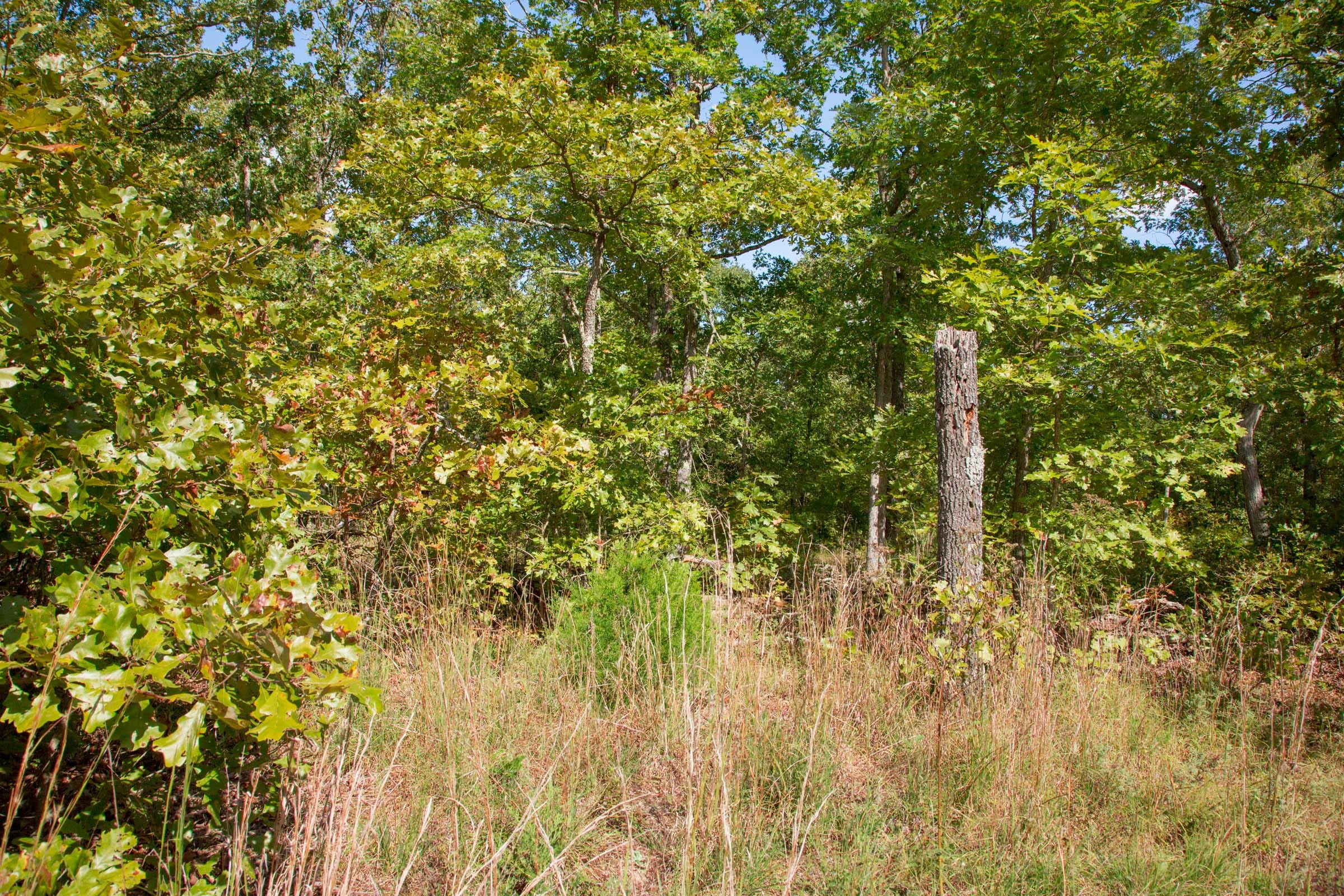 Wagon Wheel Ranch Tract 34 photo 9