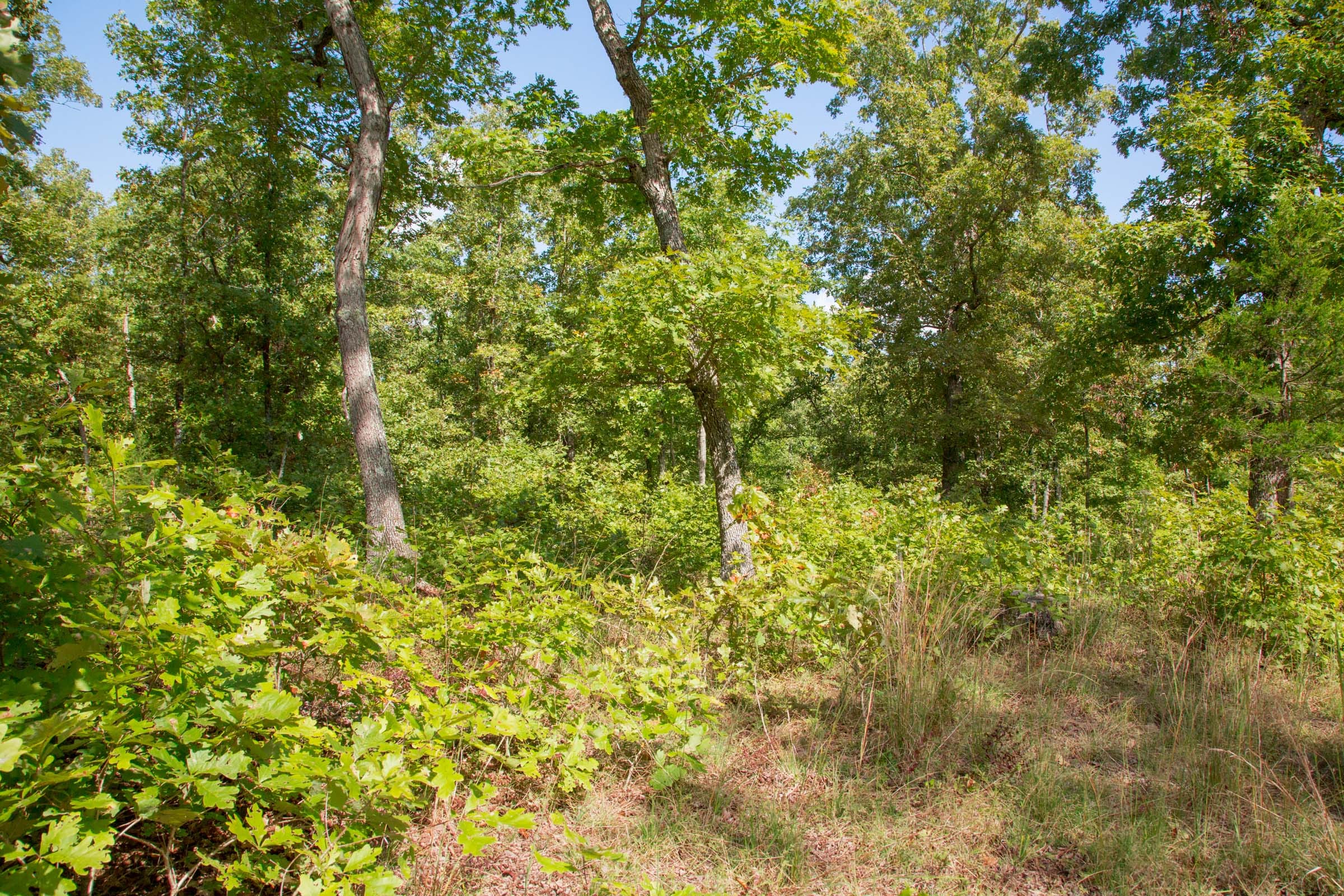 Wagon Wheel Ranch Tract 34 photo 12