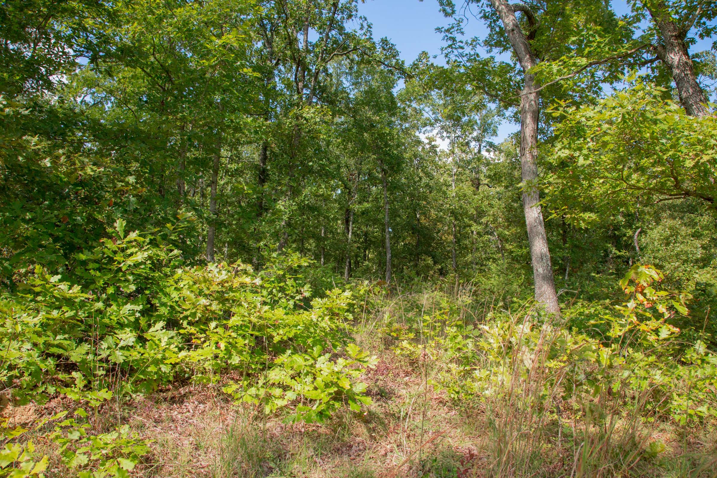 Wagon Wheel Ranch Tract 34 photo 13