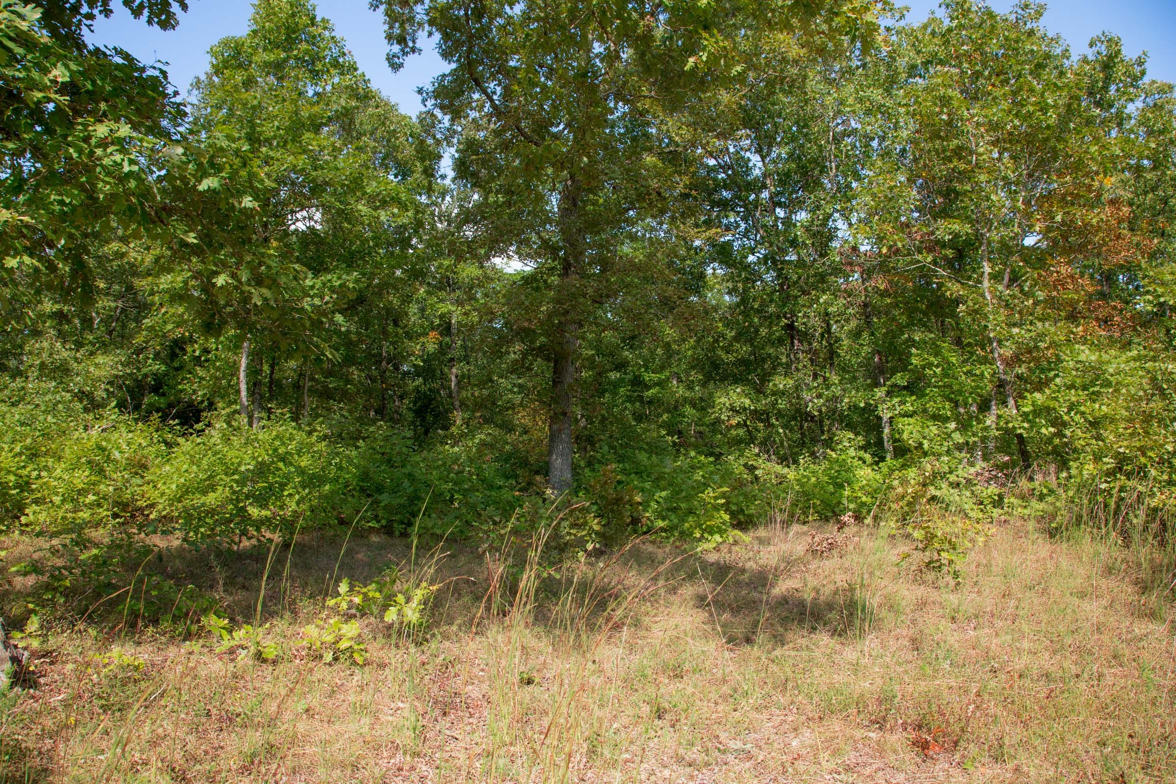 Wagon Wheel Ranch Tract 34 photo 14