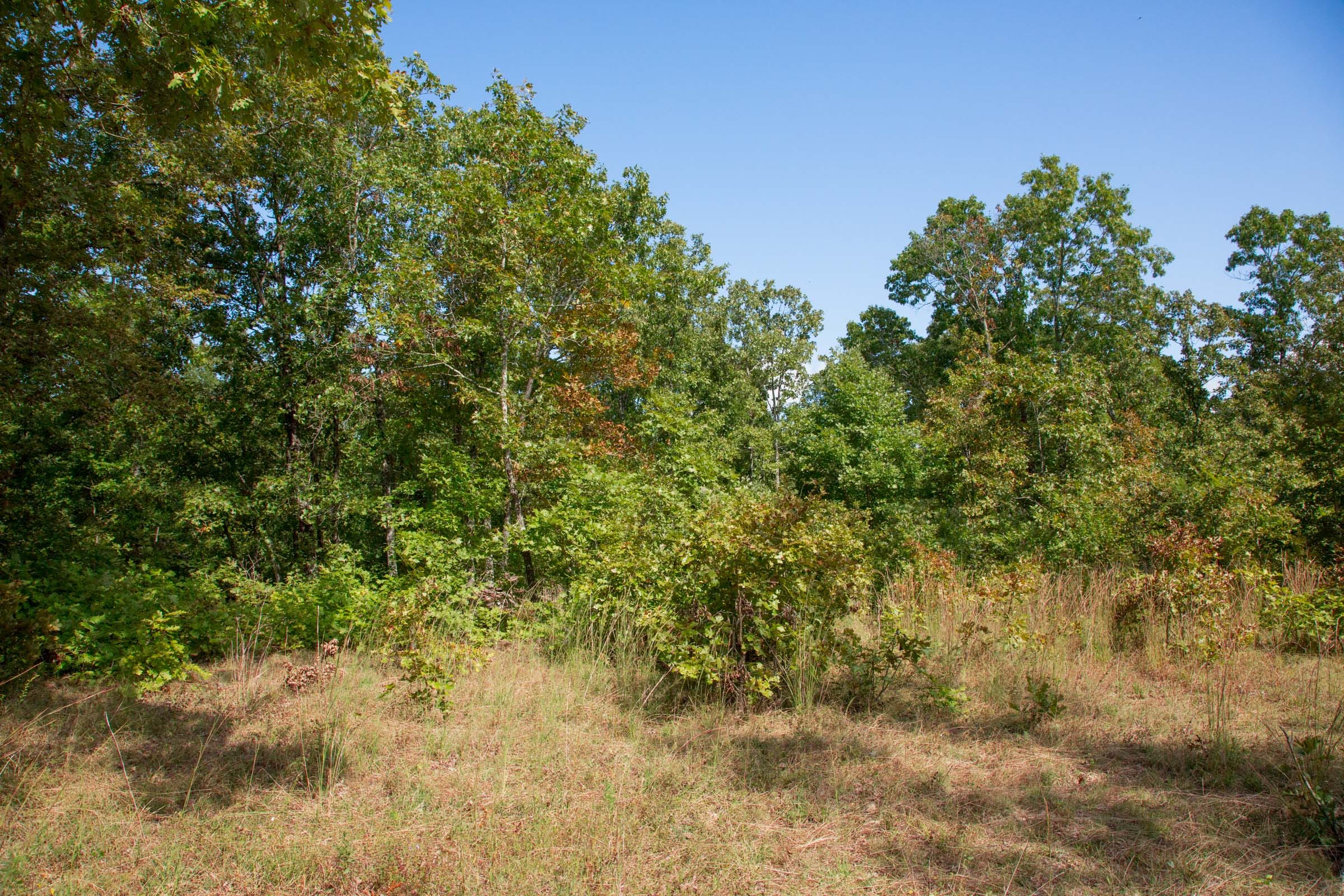 Wagon Wheel Ranch Tract 34 photo 15