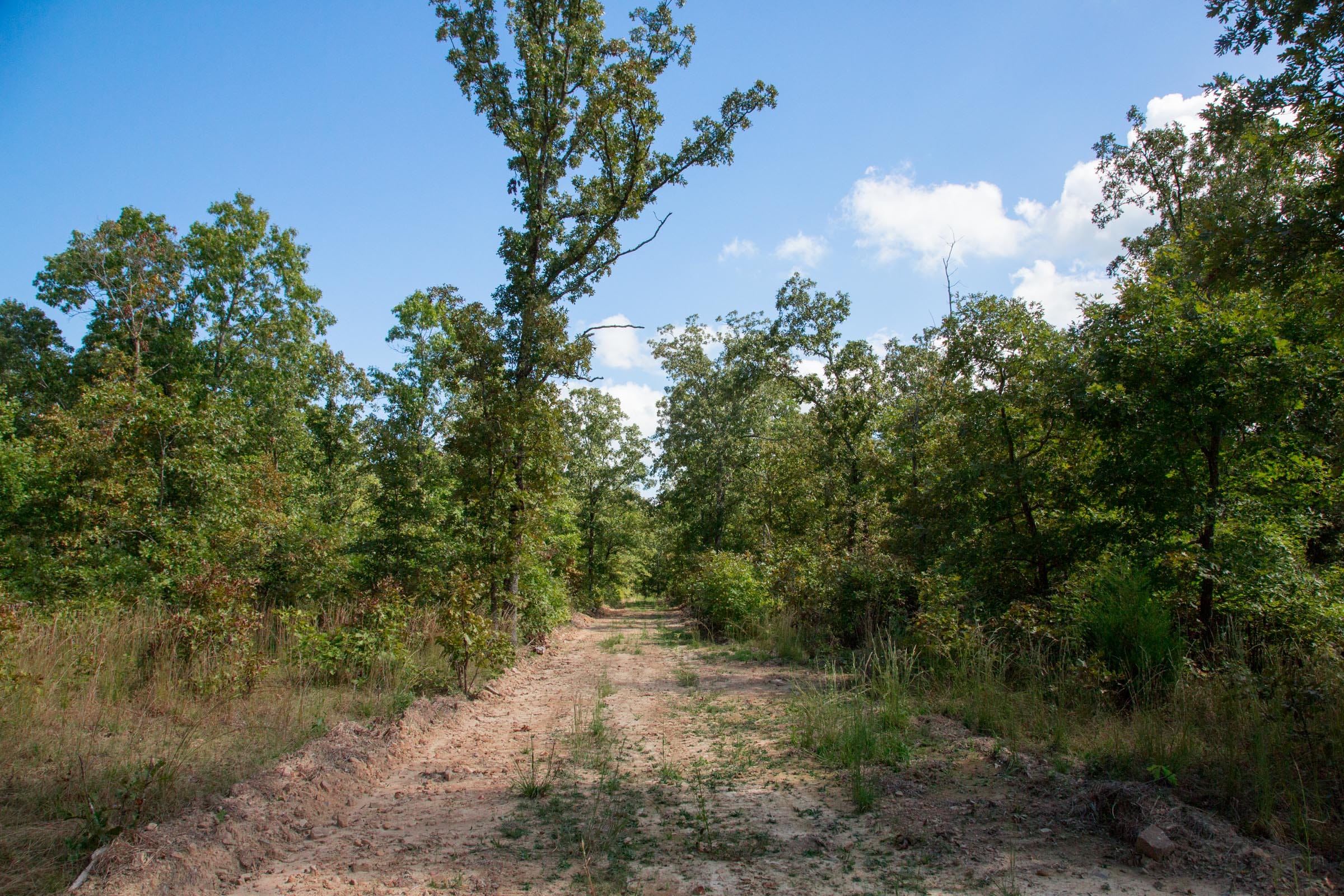 Wagon Wheel Ranch Tract 34 photo 1