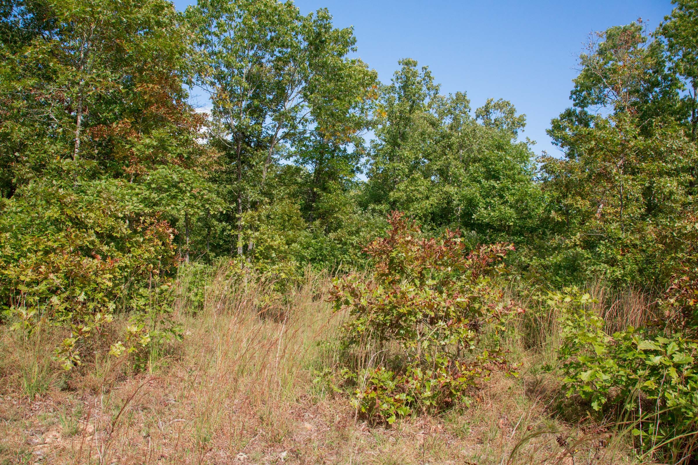 Wagon Wheel Ranch Tract 34 photo 16