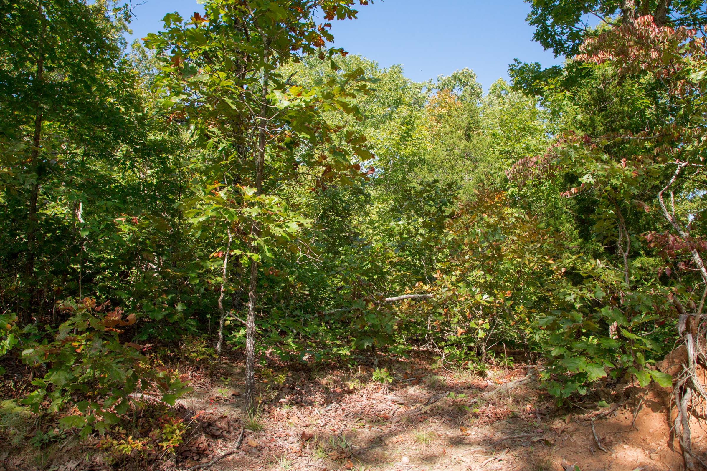 Wagon Wheel Ranch Tract 34 photo 17
