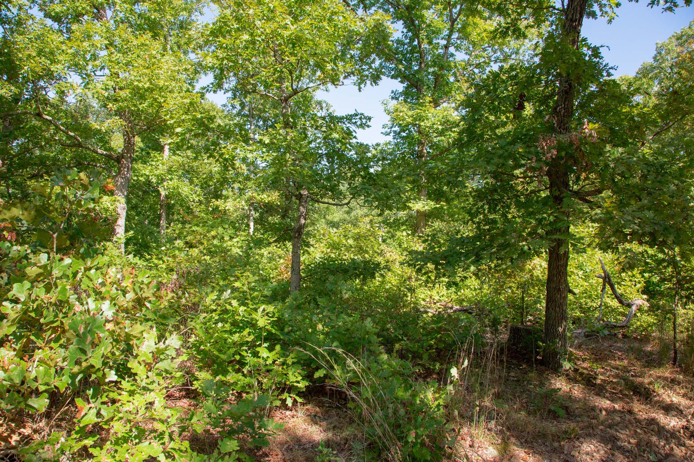 Wagon Wheel Ranch Tract 34 photo 18