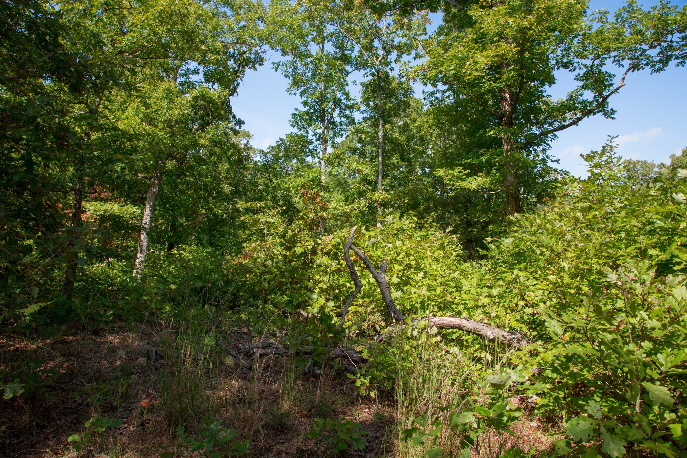 Wagon Wheel Ranch Tract 34 photo 20