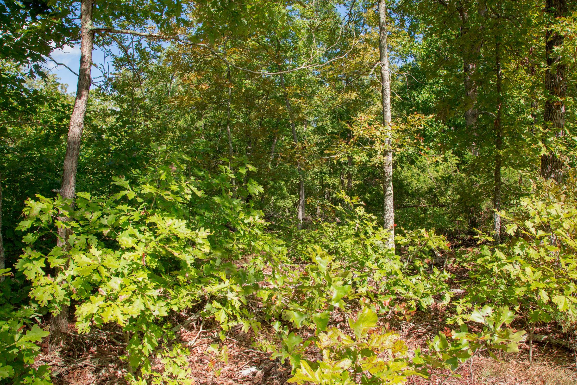 Wagon Wheel Ranch Tract 34 photo 21