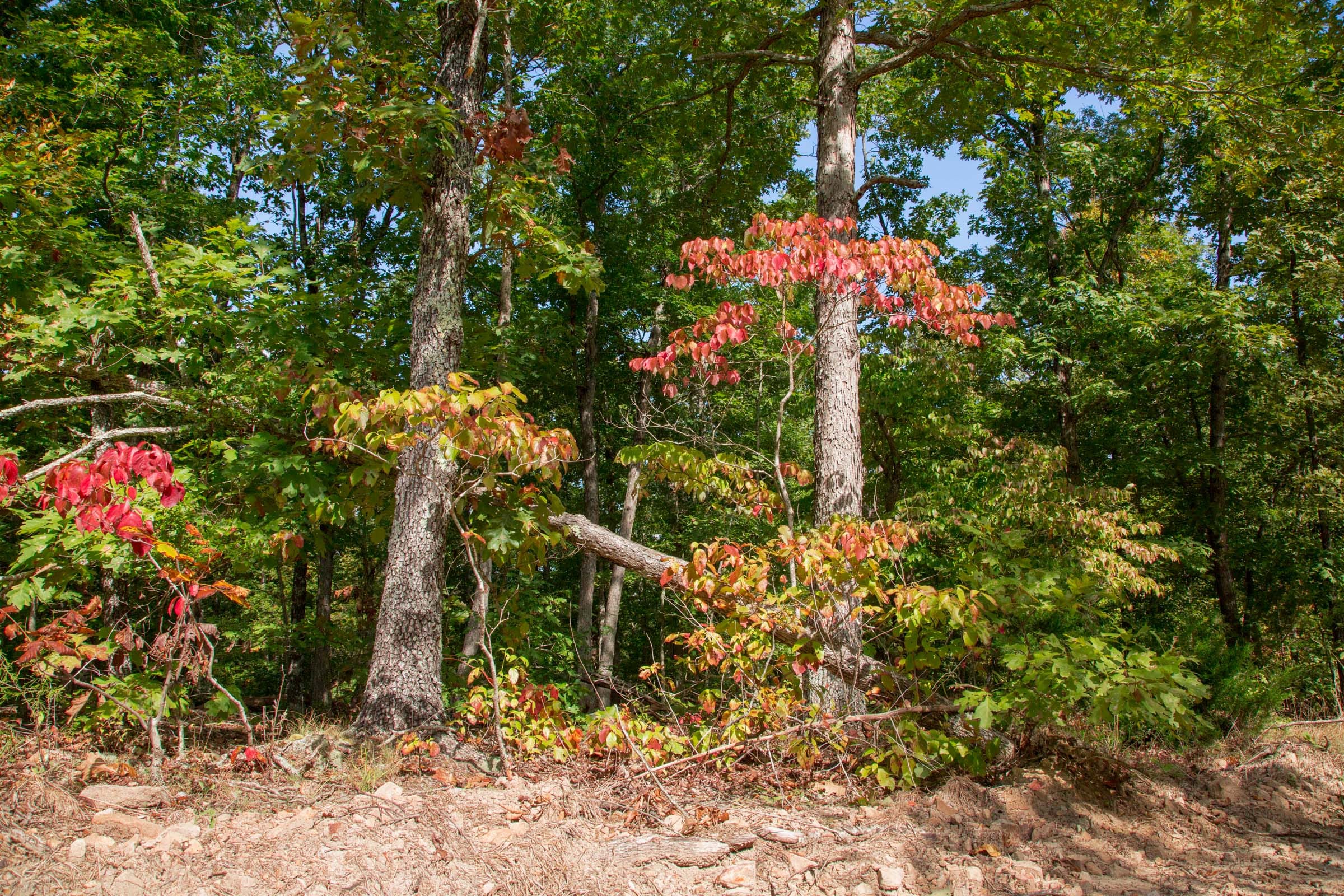 Wagon Wheel Ranch Tract 34 photo 22